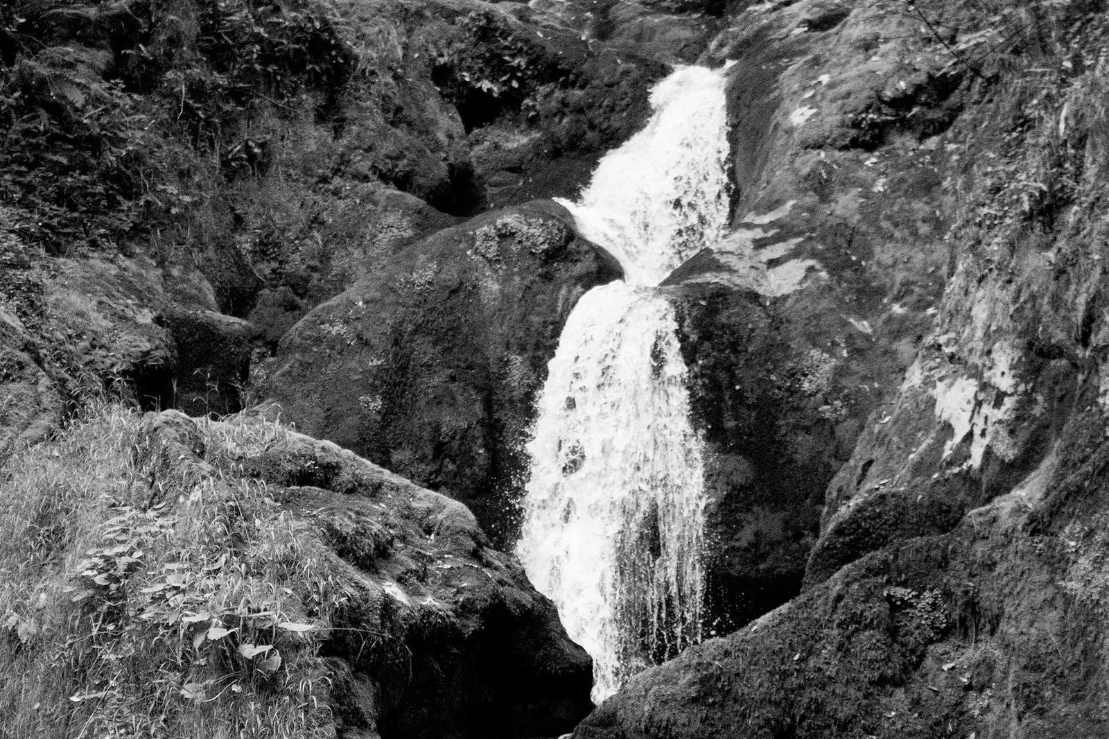 2021 "Zen Forest Waterfall" Black and White Landscape Giclee Print - 5