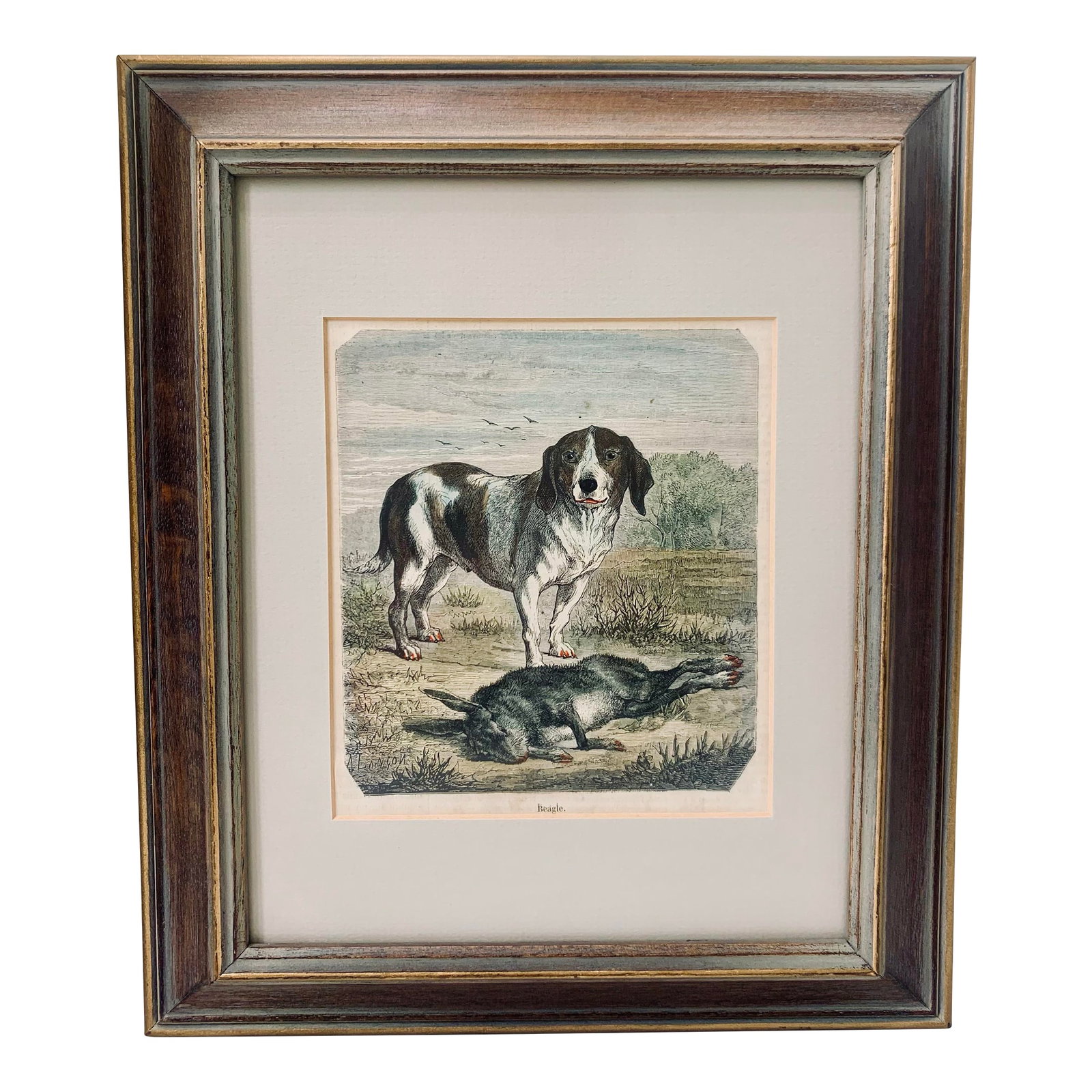 19th-Century Hand Colored French Engraving of a Beagle for "La Chasse Illustree" by Firmin Didot (1 of 12)