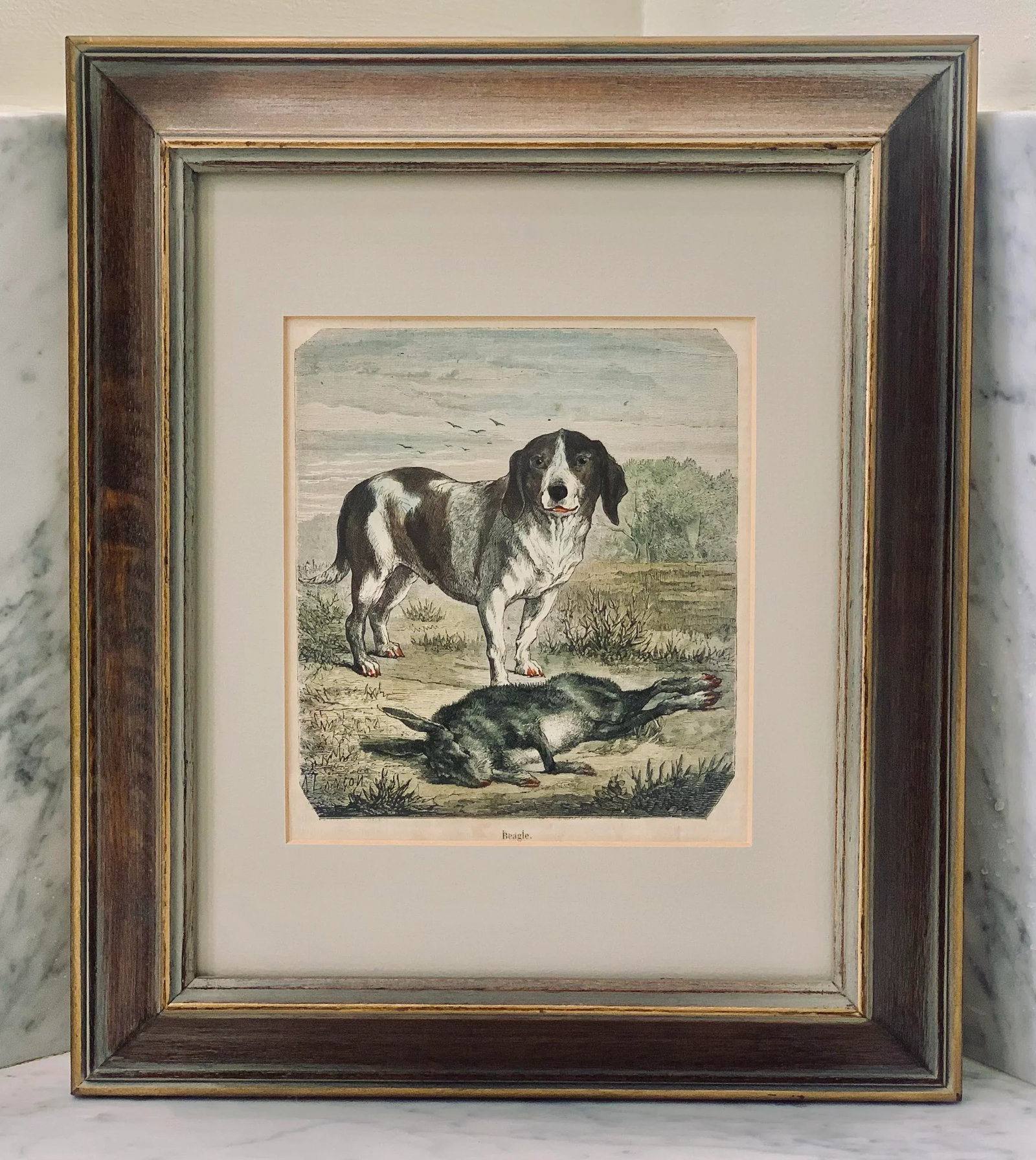 19th-Century Hand Colored French Engraving of a Beagle for "La Chasse Illustree" by Firmin Didot - 6