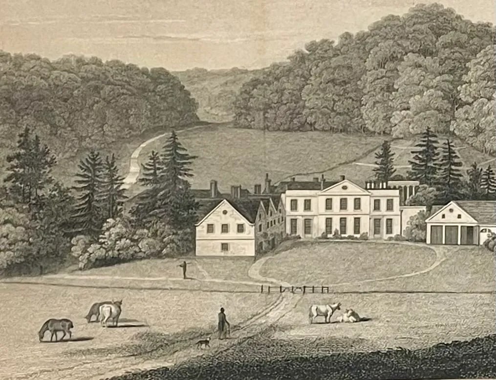 1818 Steel Engraved Illustration "Wotton in Surrey, the Seat of John Evelyn Esq." - 6