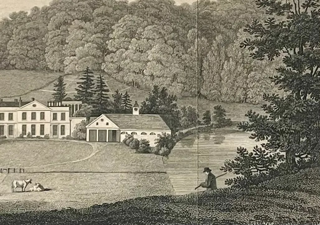 1818 Steel Engraved Illustration "Wotton in Surrey, the Seat of John Evelyn Esq." - 7