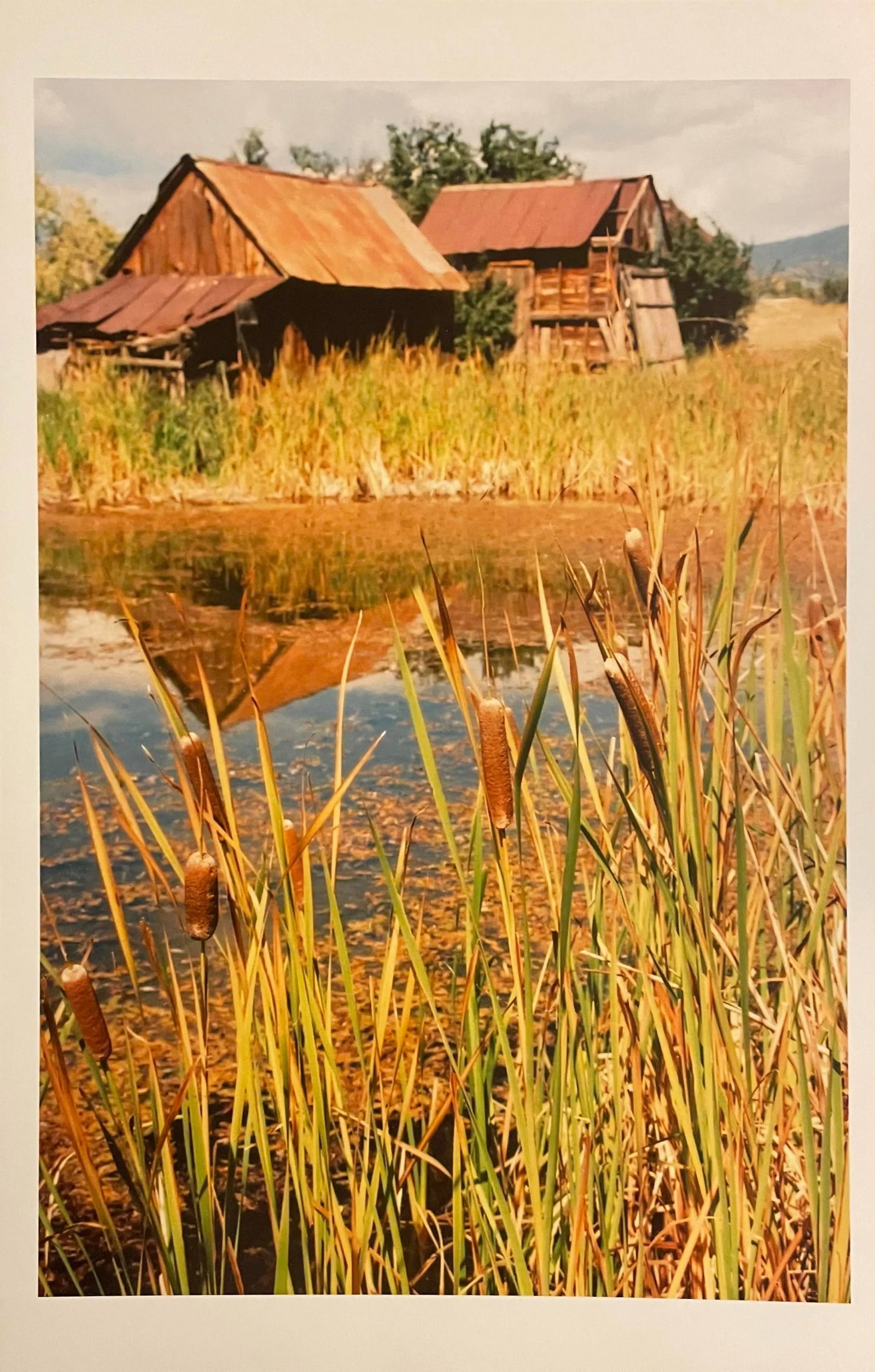 Gleb Derujinsky "Fall Farm" Contemporary Landscape Photograph Print: The pleasure of finally being able to go through the archive of my father, Gleb Derujinsky, and begin the task of sharing his vast imagination is a thrill. Many know his work now from his career as a 