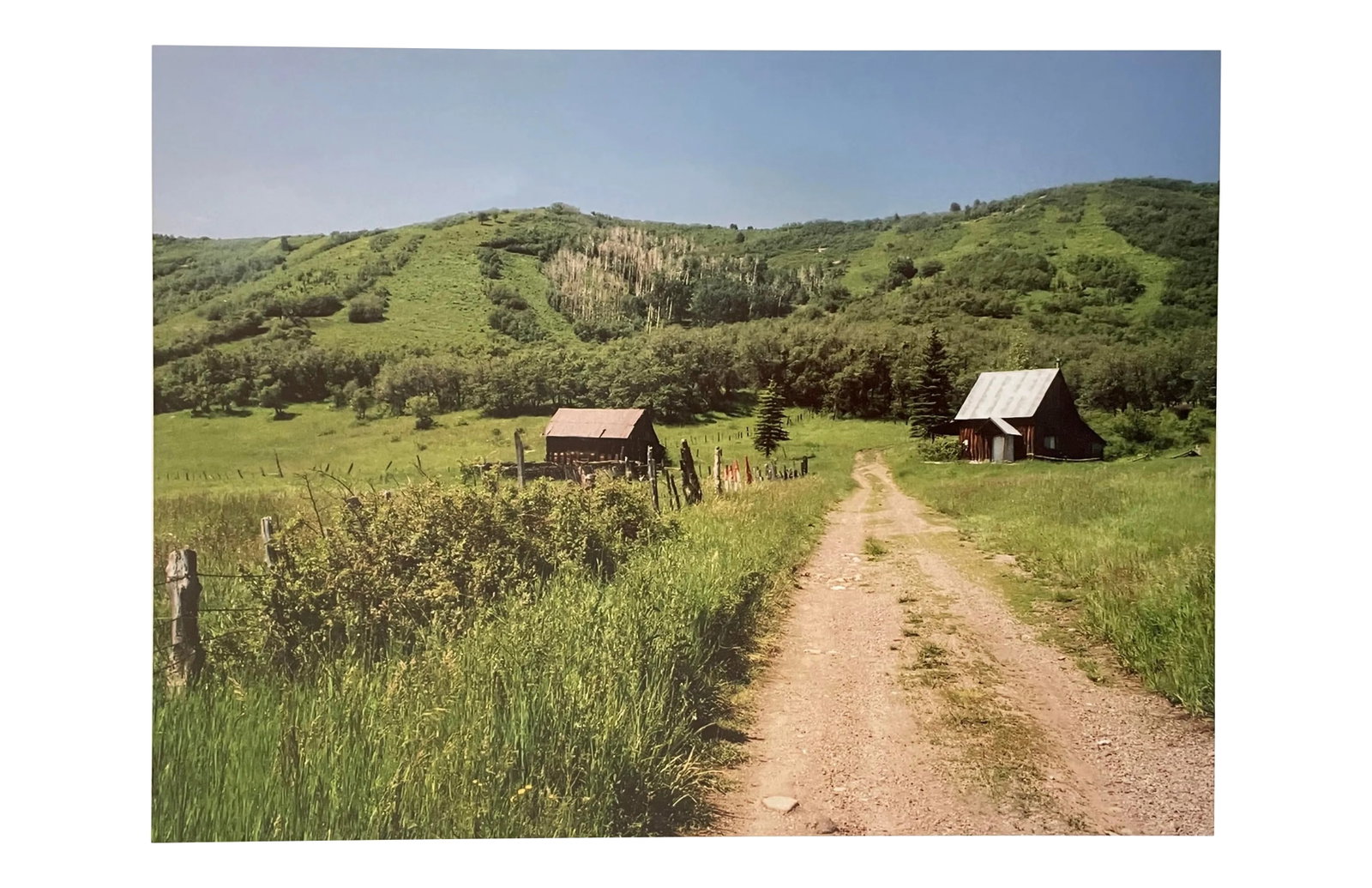 Gleb Derujinsky "Road to Farm" Contemporary Landscape Photograph Print: The pleasure of finally being able to go through the archive of my father, Gleb Derujinsky, and begin the task of sharing his vast imagination is a thrill. Many know his work now from his career as a 