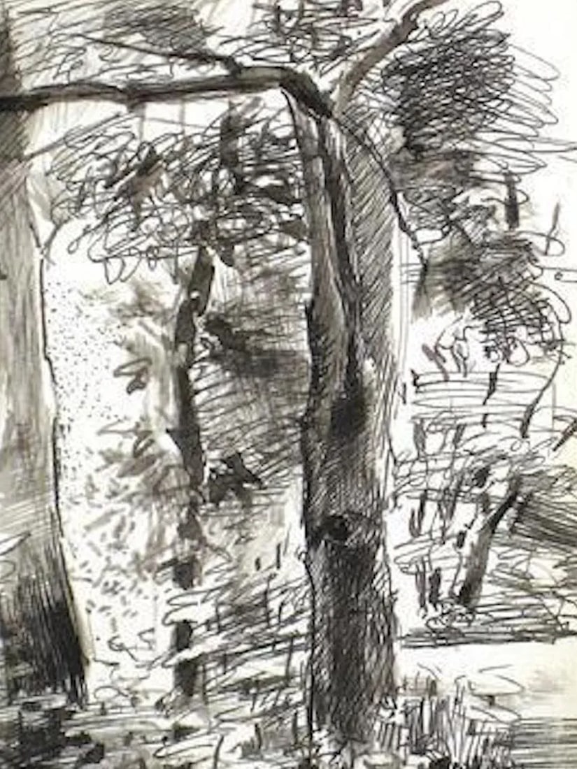 Central Park Study 1940-60s Ink Drawing - 2