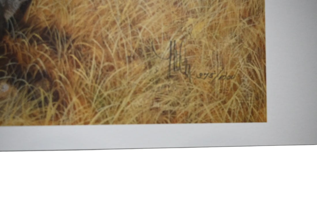 Frank C. McCarthy Signed Limited Edition Print "Where Ancient Ones Had Hunted" 975/1000 W/ Coa - 5