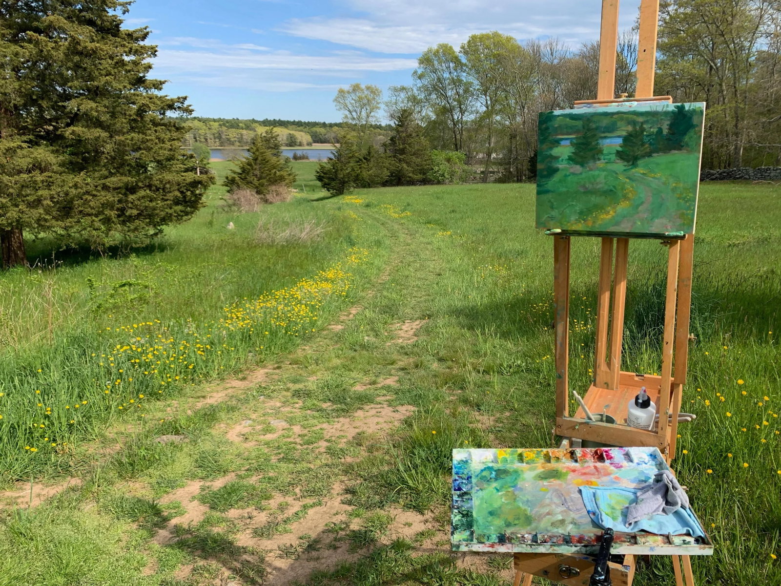 "Buttercup Lined Path" Contemporary Plein Air Acrylic Painting by Stephen Remick - 9