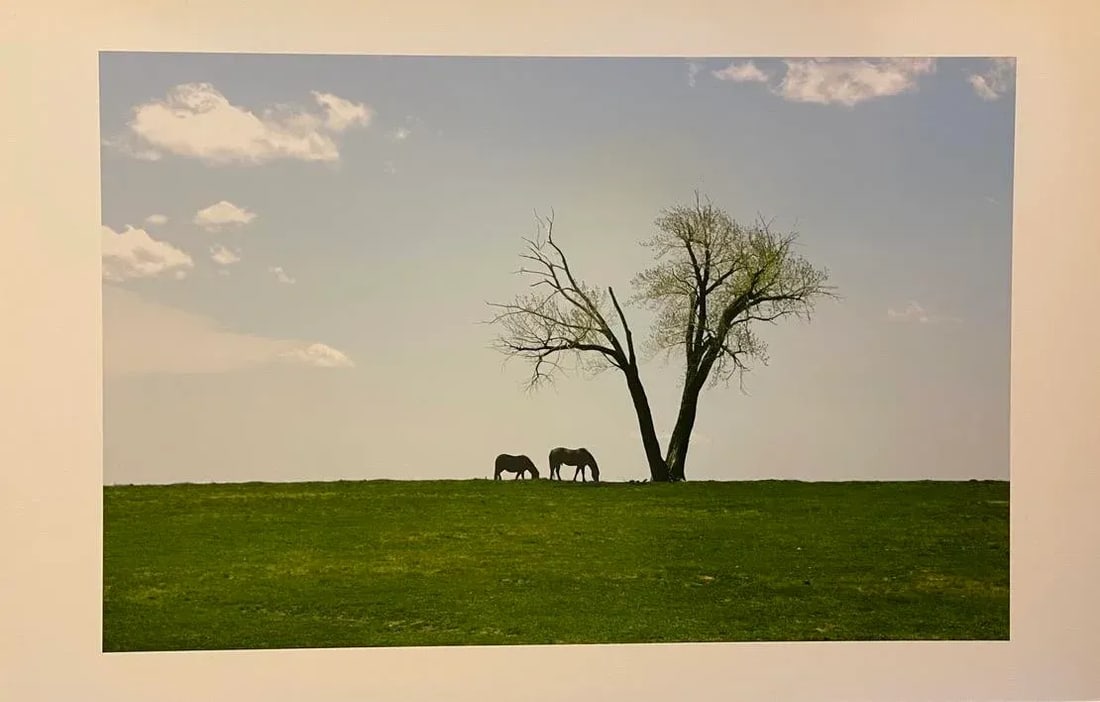 "Two Horses and a Tree" Contemporary Landscape Color Photograph From the Estate of Gleb Derujinsky - 6