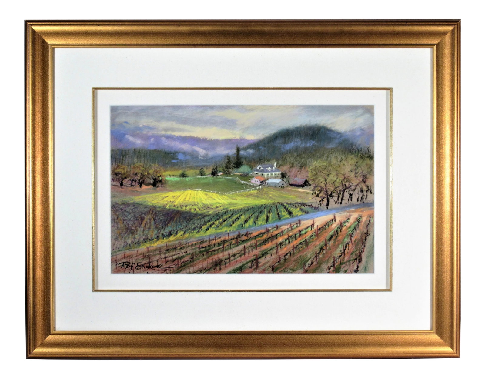 Reif Erickson, Napa Vineyard, Circa2000 (1 of 6)