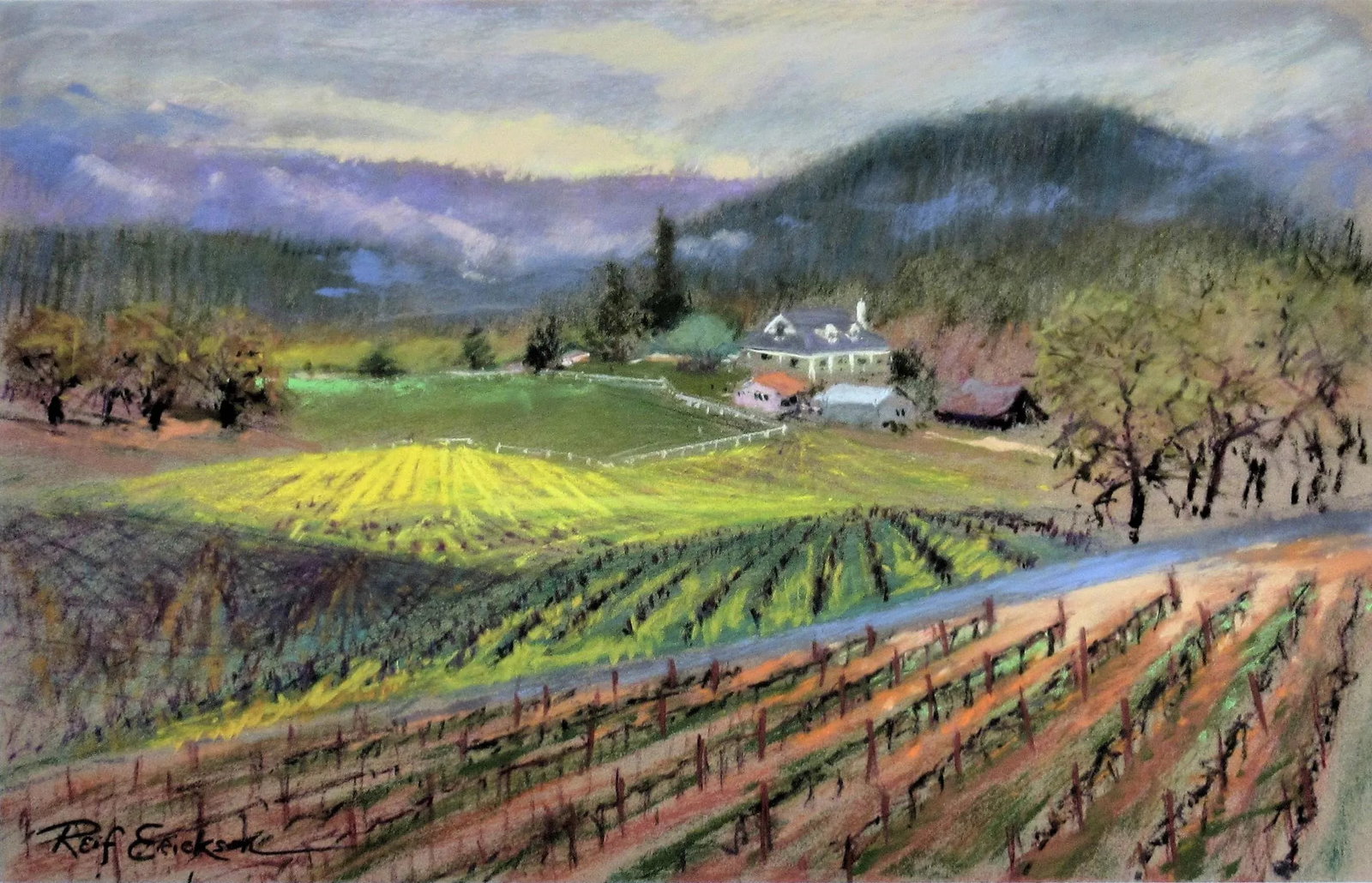 Reif Erickson, Napa Vineyard, Circa2000 - 2