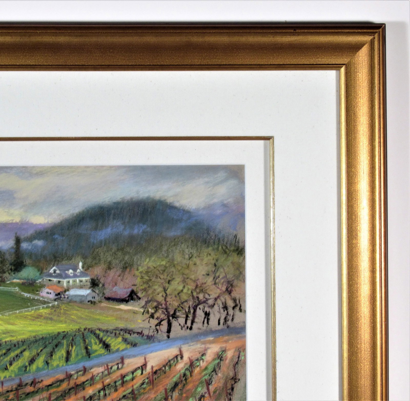 Reif Erickson, Napa Vineyard, Circa2000 - 5