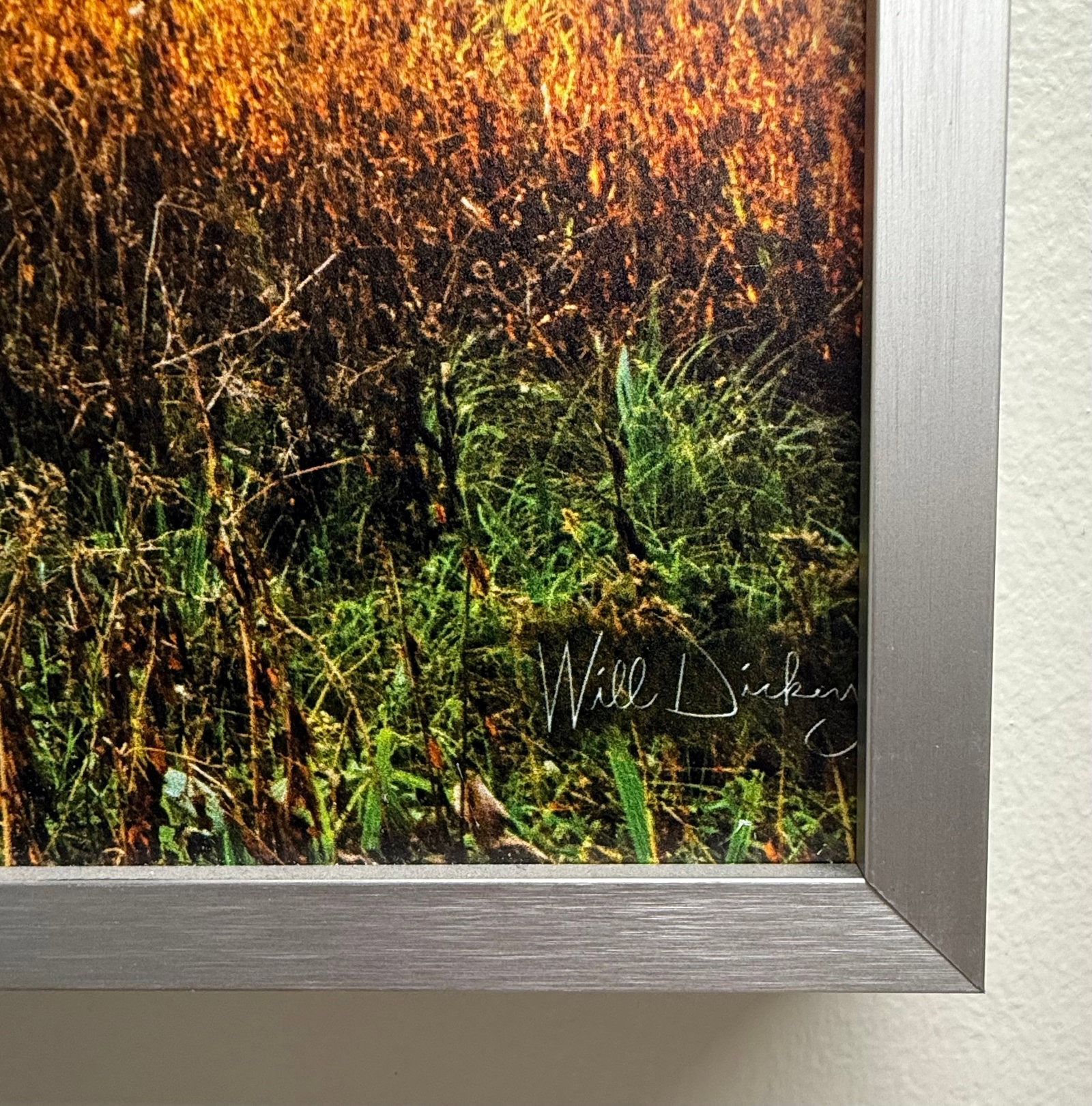 Sunlit Path Under Live Oak Branches, Framed Photograph, Artist Will Dickey - 5