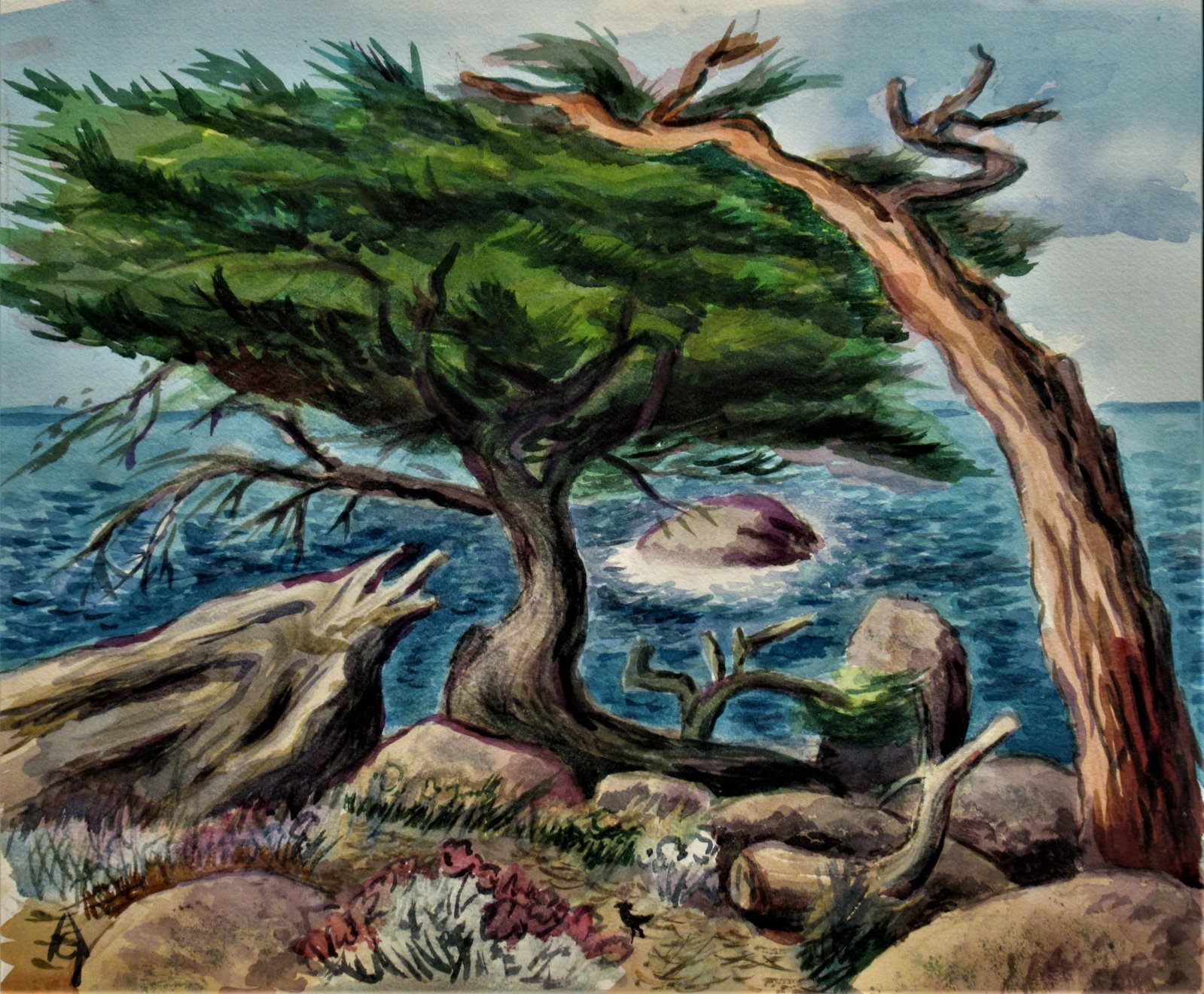 Arnold A. Grossman, California Coast with Cypress Tree: Artist: Arnold Grossman (American, 1923-2016) Title: California Coast with Cypress Year: c.1980 Medium:Watercolor Paper: Watercolor paper Sizeimage: 16 x 18.75 inches paper: 16 x 18.75 inches