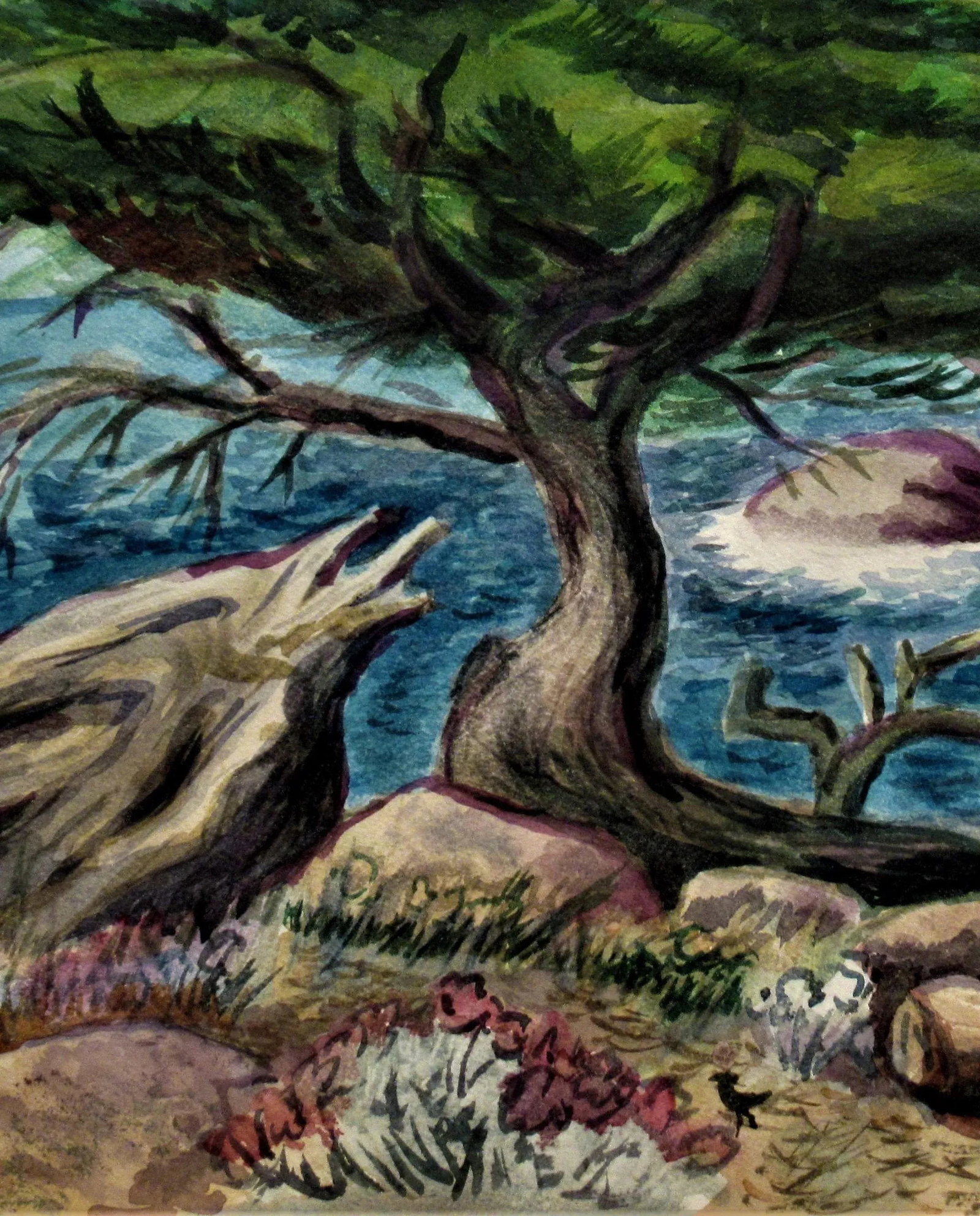 Arnold A. Grossman, California Coast with Cypress Tree - 2