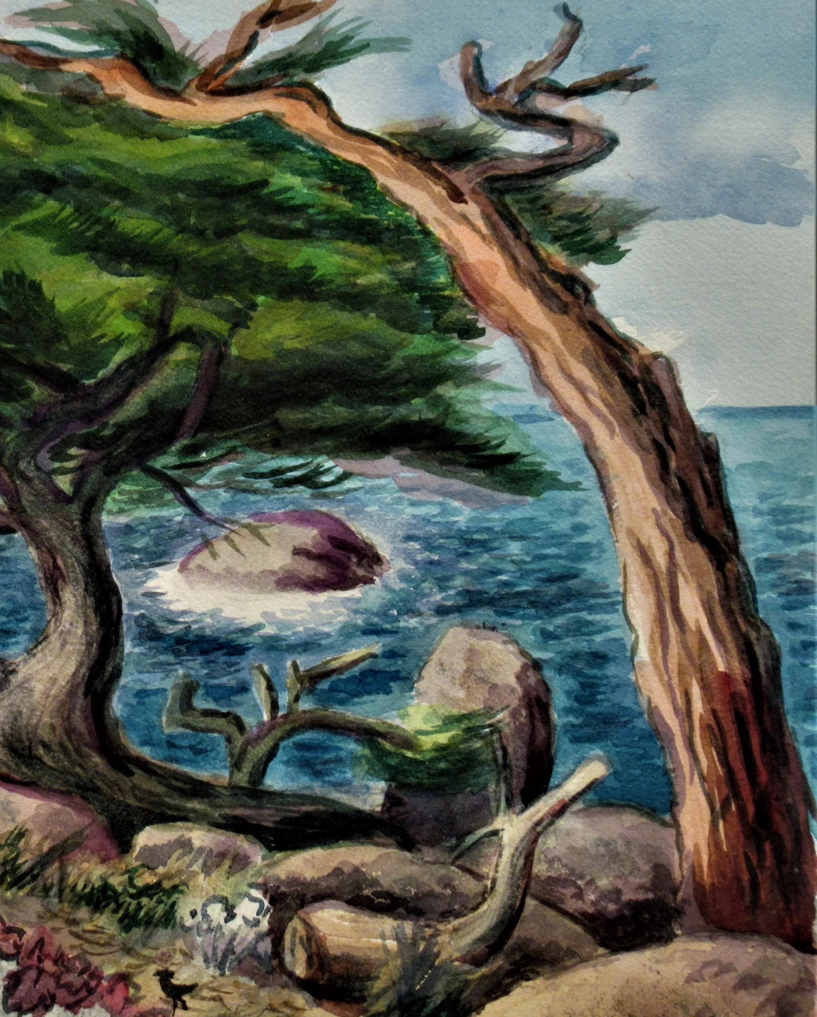 Arnold A. Grossman, California Coast with Cypress Tree - 3