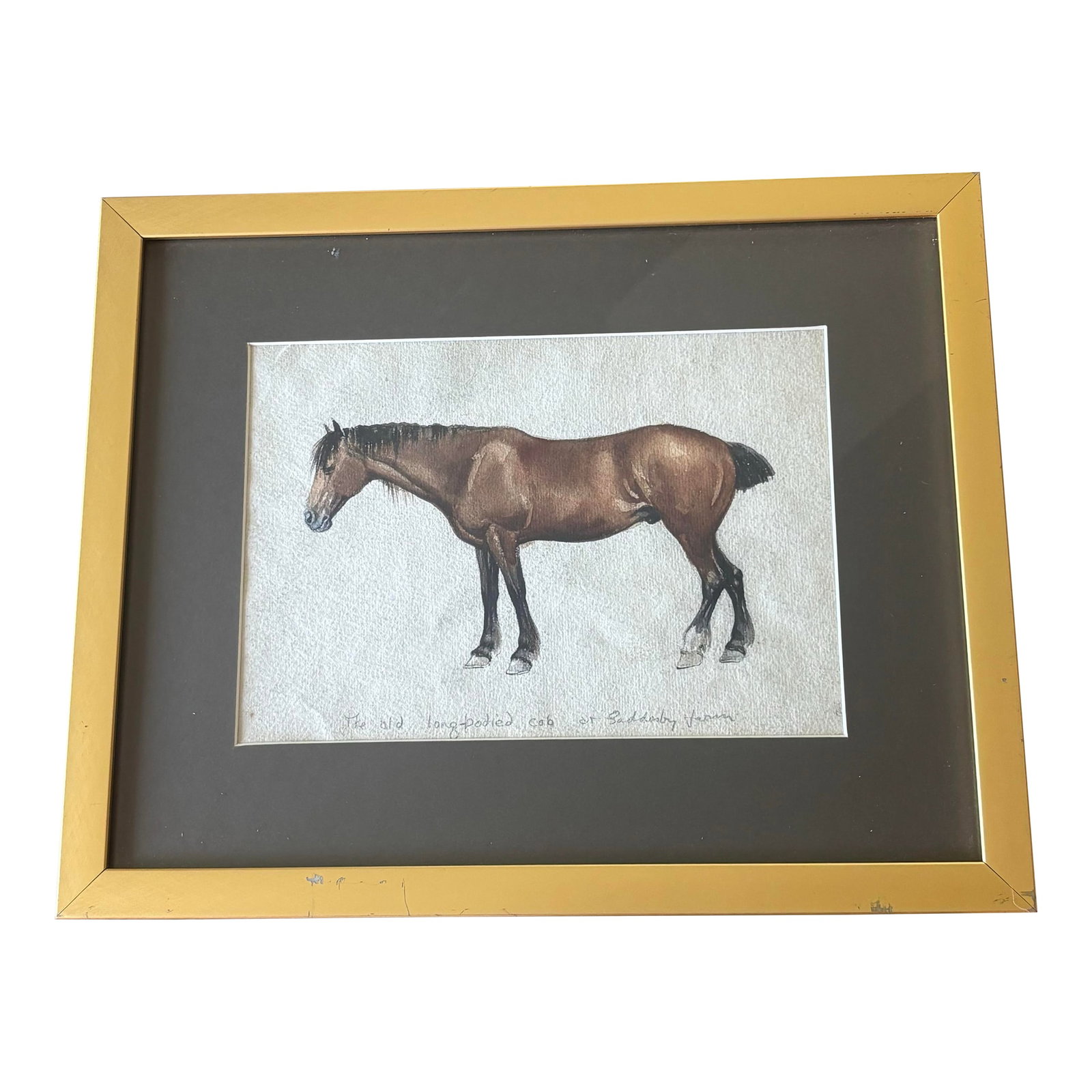 Original Watercolor "The Old Long-Bodied Cob of Gaddesby Farm" Horse Portrait 1914 Leicester, Englan: A portrait not merely of a horse - but of a life well known. This early 20th century original watercolor, entitled "The Old Long-Bodied Cob of Gaddesby Farm," captures something deeply personal and di