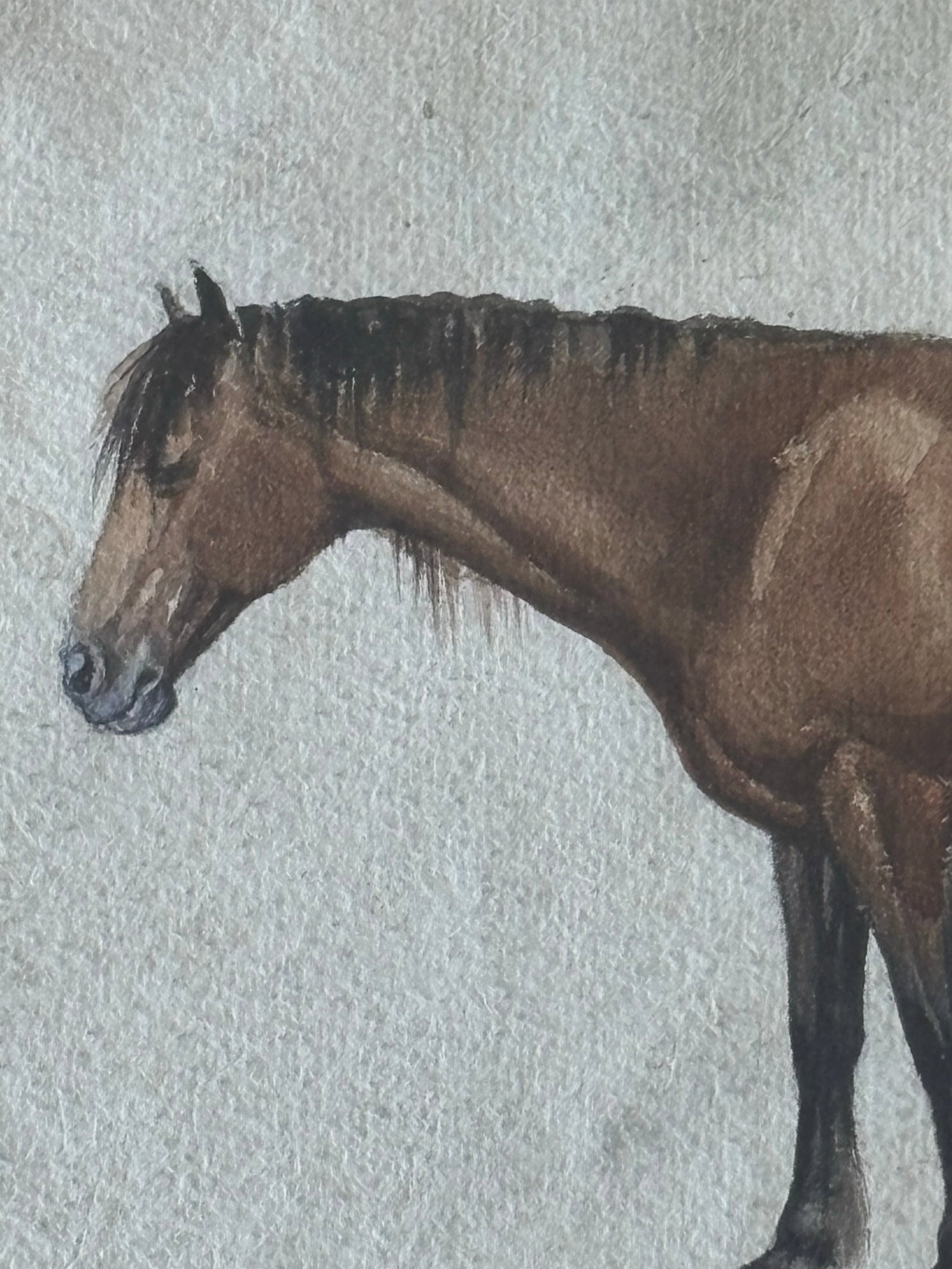 Original Watercolor "The Old Long-Bodied Cob of Gaddesby Farm" Horse Portrait 1914 Leicester, Englan - 3