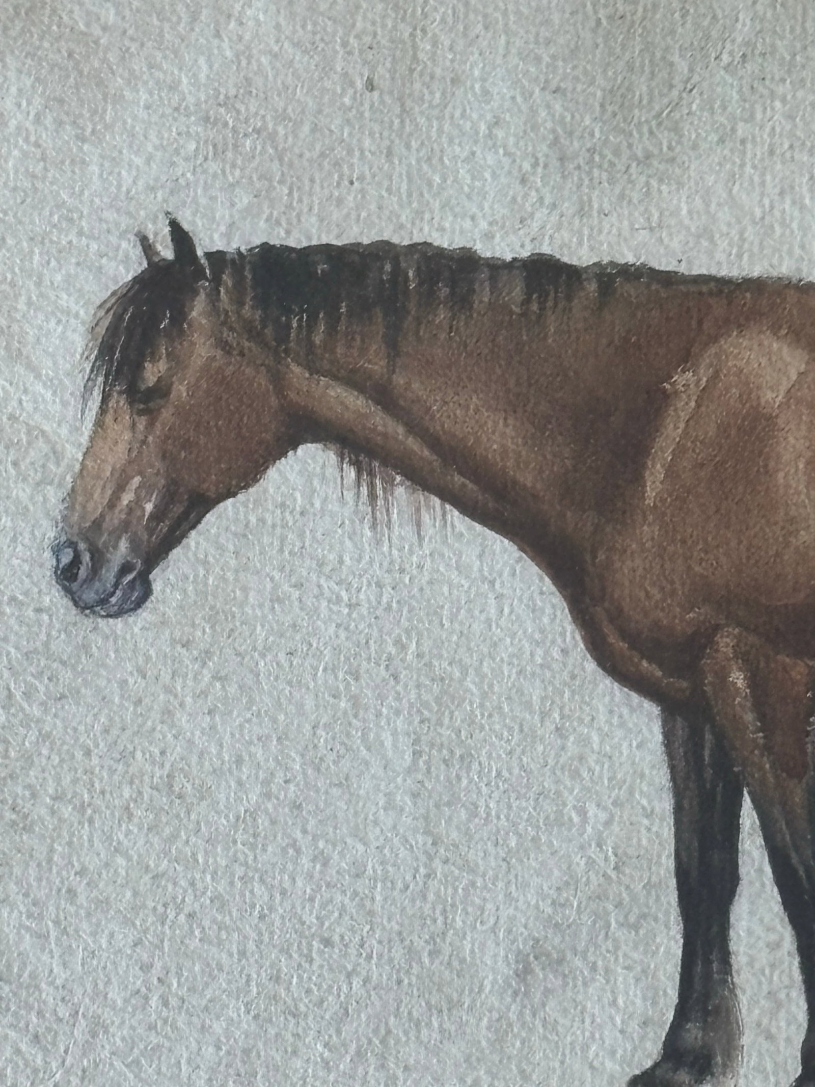 Original Watercolor "The Old Long-Bodied Cob of Gaddesby Farm" Horse Portrait 1914 Leicester, Englan - 4