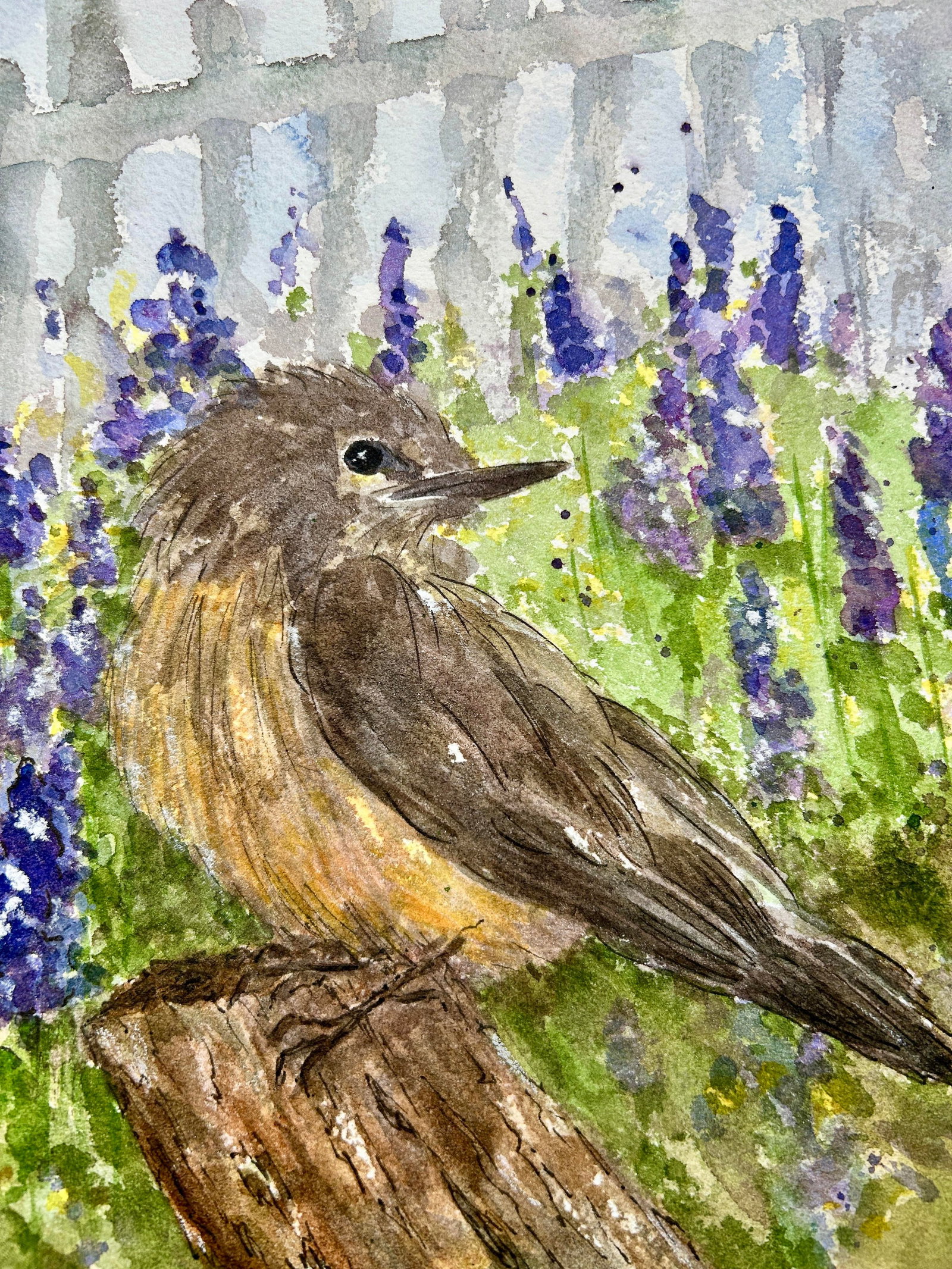 Original Watercolor Painting on Paper of "Little Desert Bird." - 2