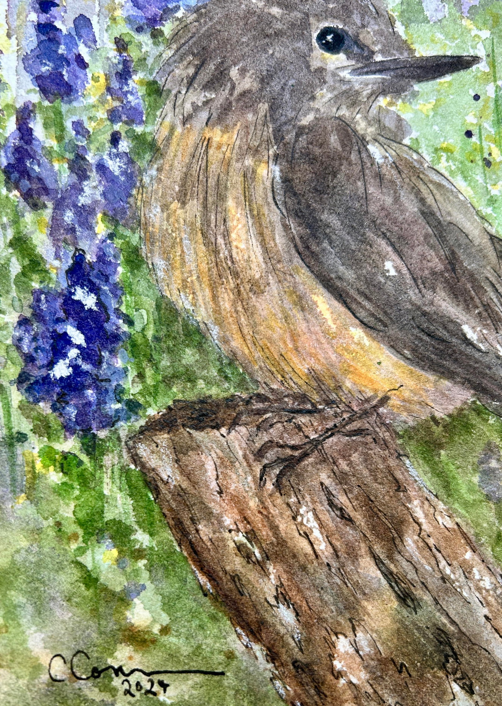 Original Watercolor Painting on Paper of "Little Desert Bird." - 3