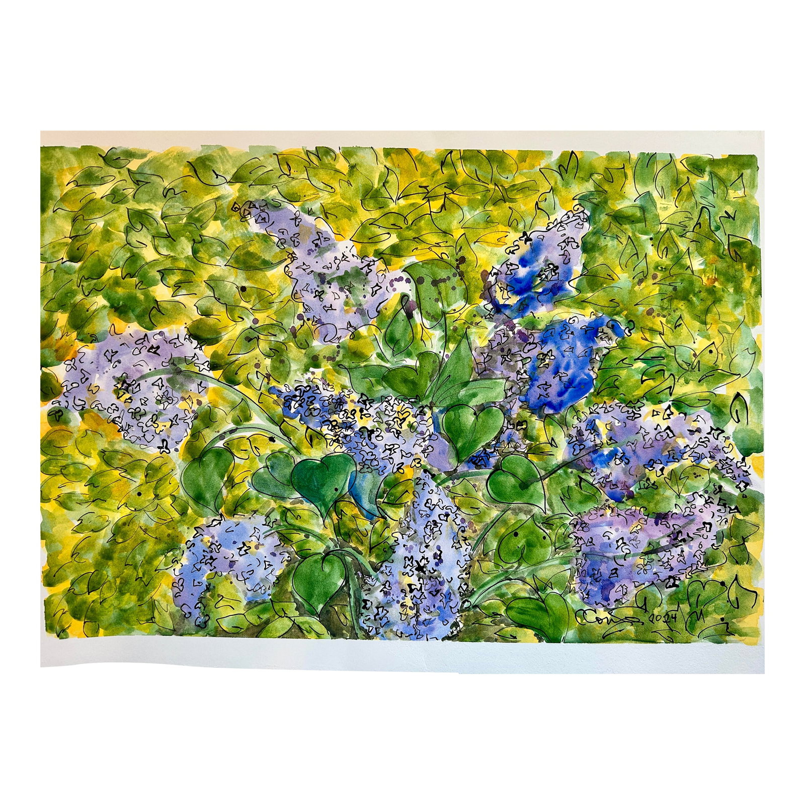 Original Watercolor Painting "Inside the Lilac Hedge": Original watercolor painting with ink and wash of "Inside the Lilac Hedge." This 250 foot long lilac hedge, that I painted here, is a sight to behold when it is in full bloom. The painting was created