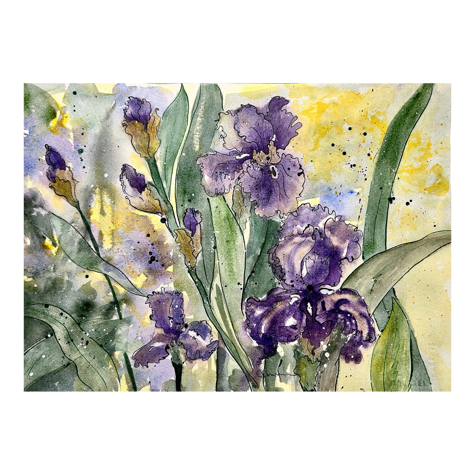 Original Watercolor Painting "Amethyst Iris" (1 of 9)