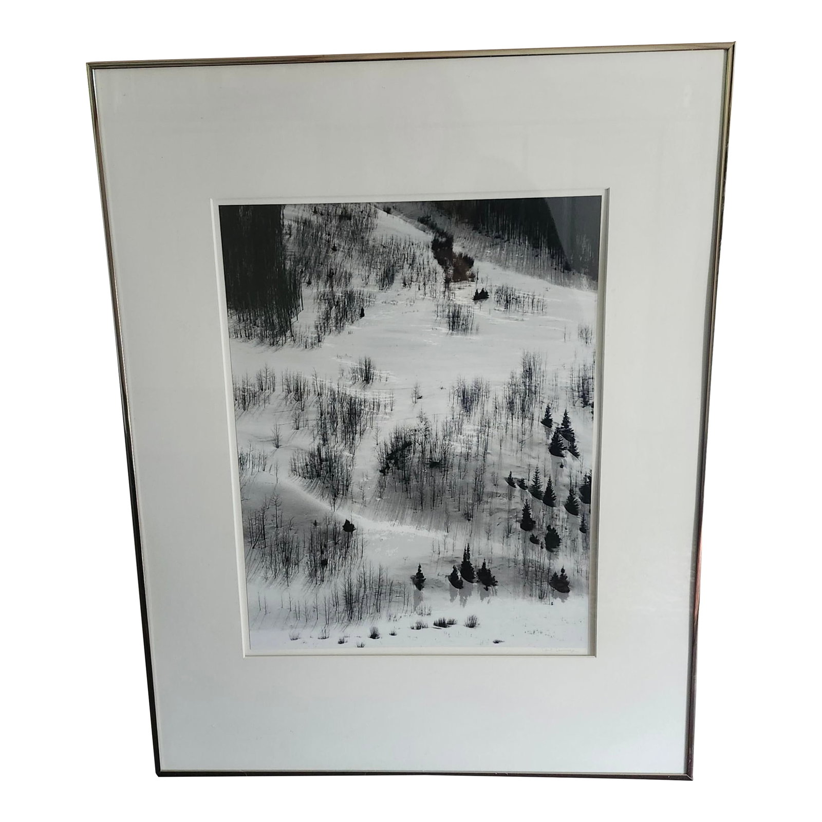 Vintage Black White Photograph Snowy Landscape Unsigned: This fine-art black and white photograph of a snowy landscape is visually striking. Capturing the scenic landscape has a timelessness feel and brings the peaceful winter nature indoors. The high-contr