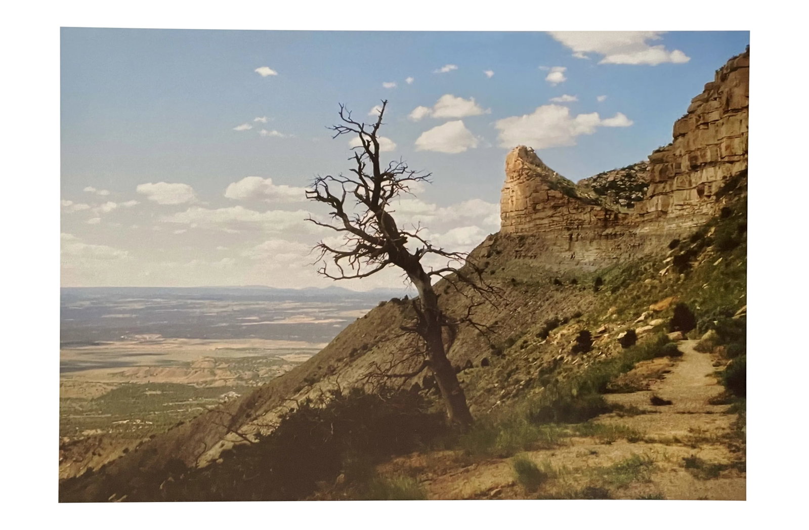 "Branch Out" Contemporary Landscape Photograph from The Estate of Gleb Derujinsky: The pleasure of finally being able to go through the archive of my father, Gleb Derujinsky, and begin the task of sharing his vast imagination is a thrill. Many know his work now from his career as a 