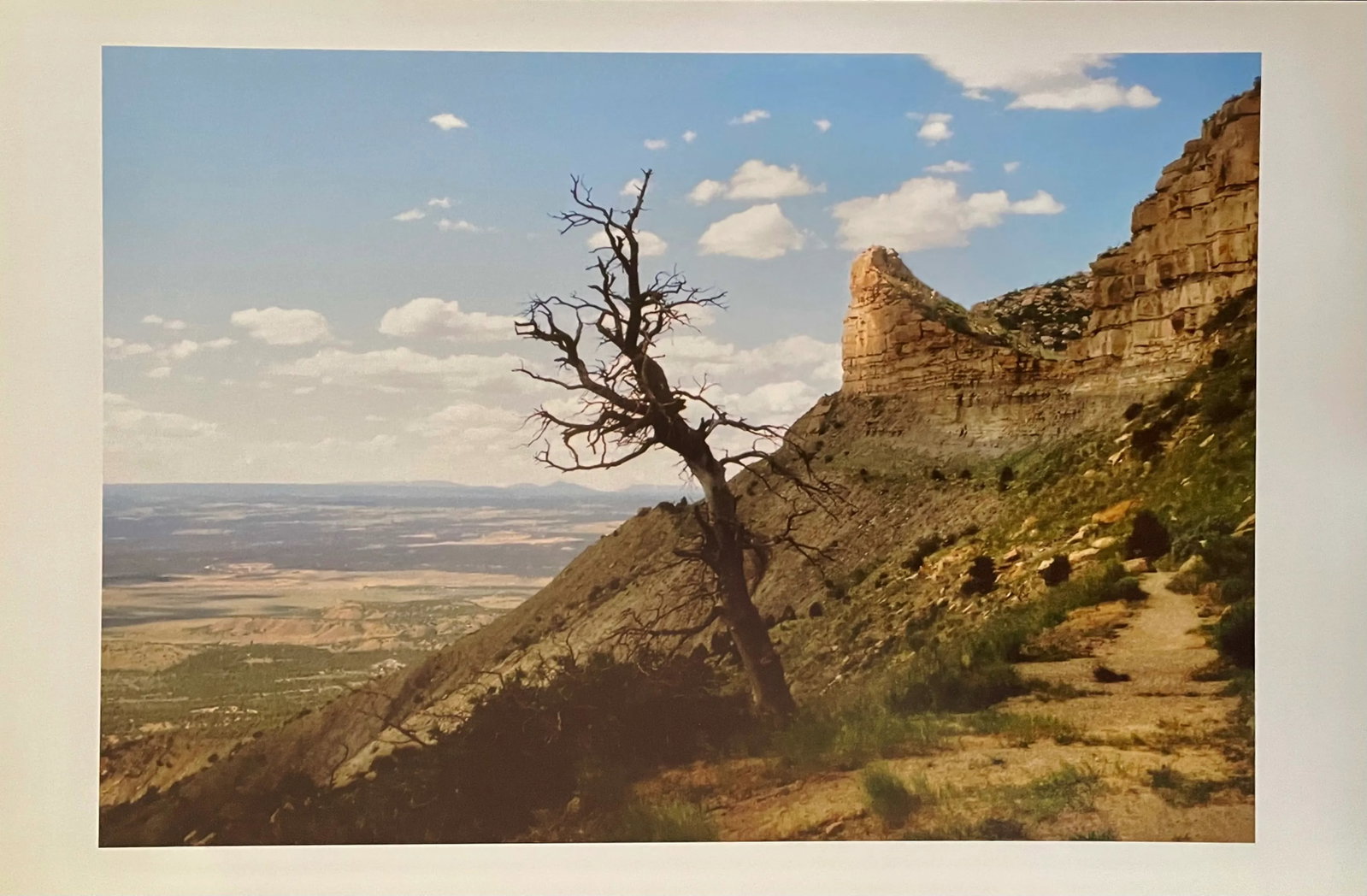 "Branch Out" Contemporary Landscape Photograph from The Estate of Gleb Derujinsky - 6