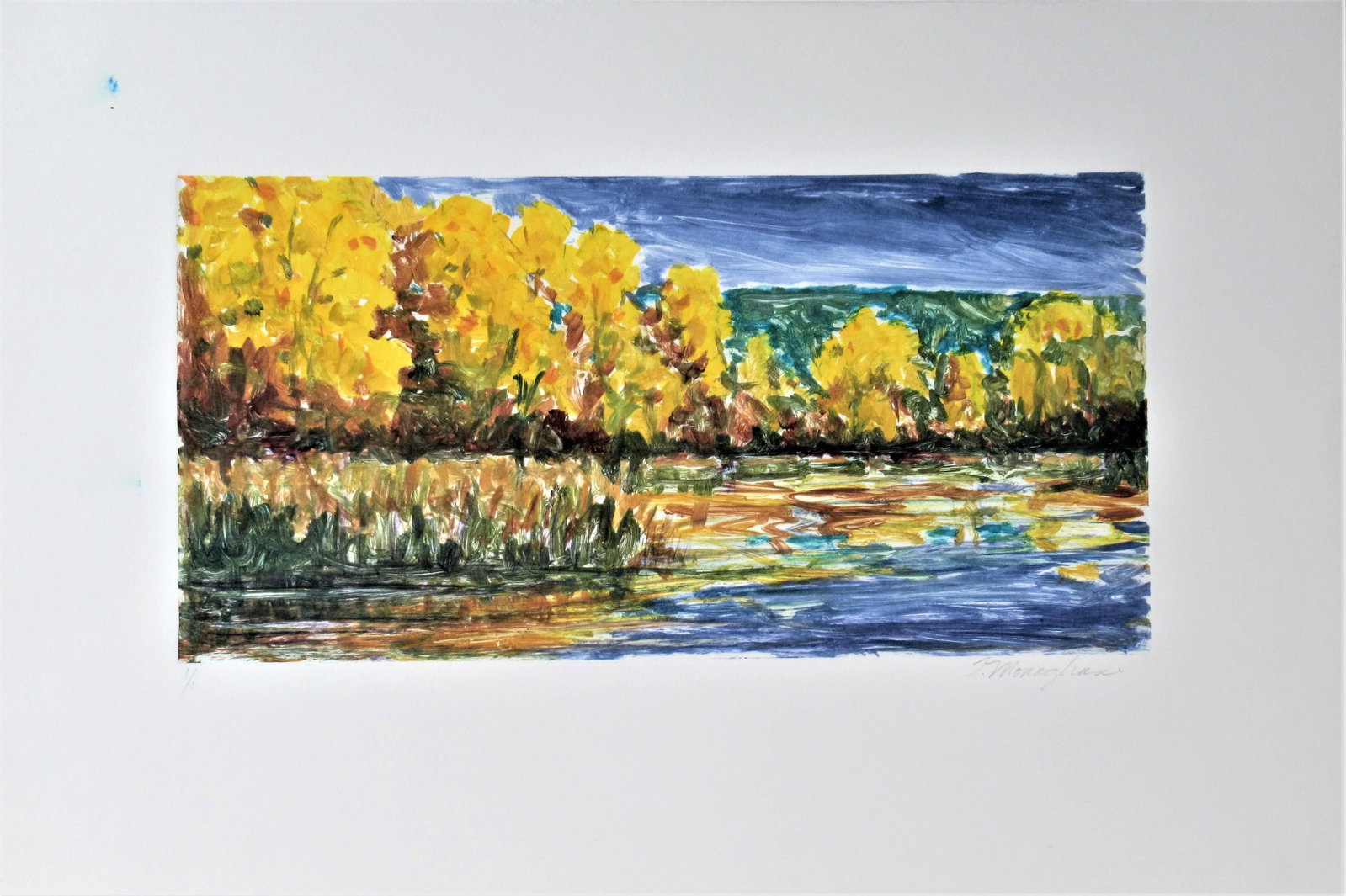 Thomas Monaghan, Landscape #I - 6