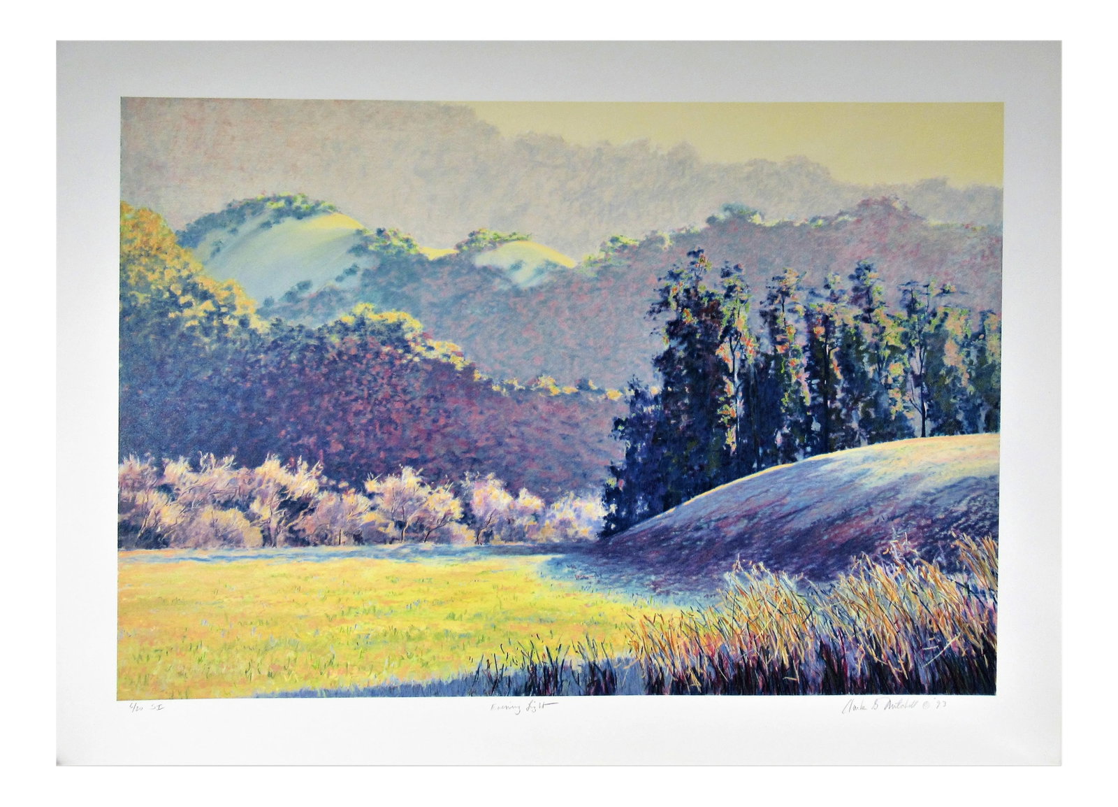 Clark Mitchell, Evening Light