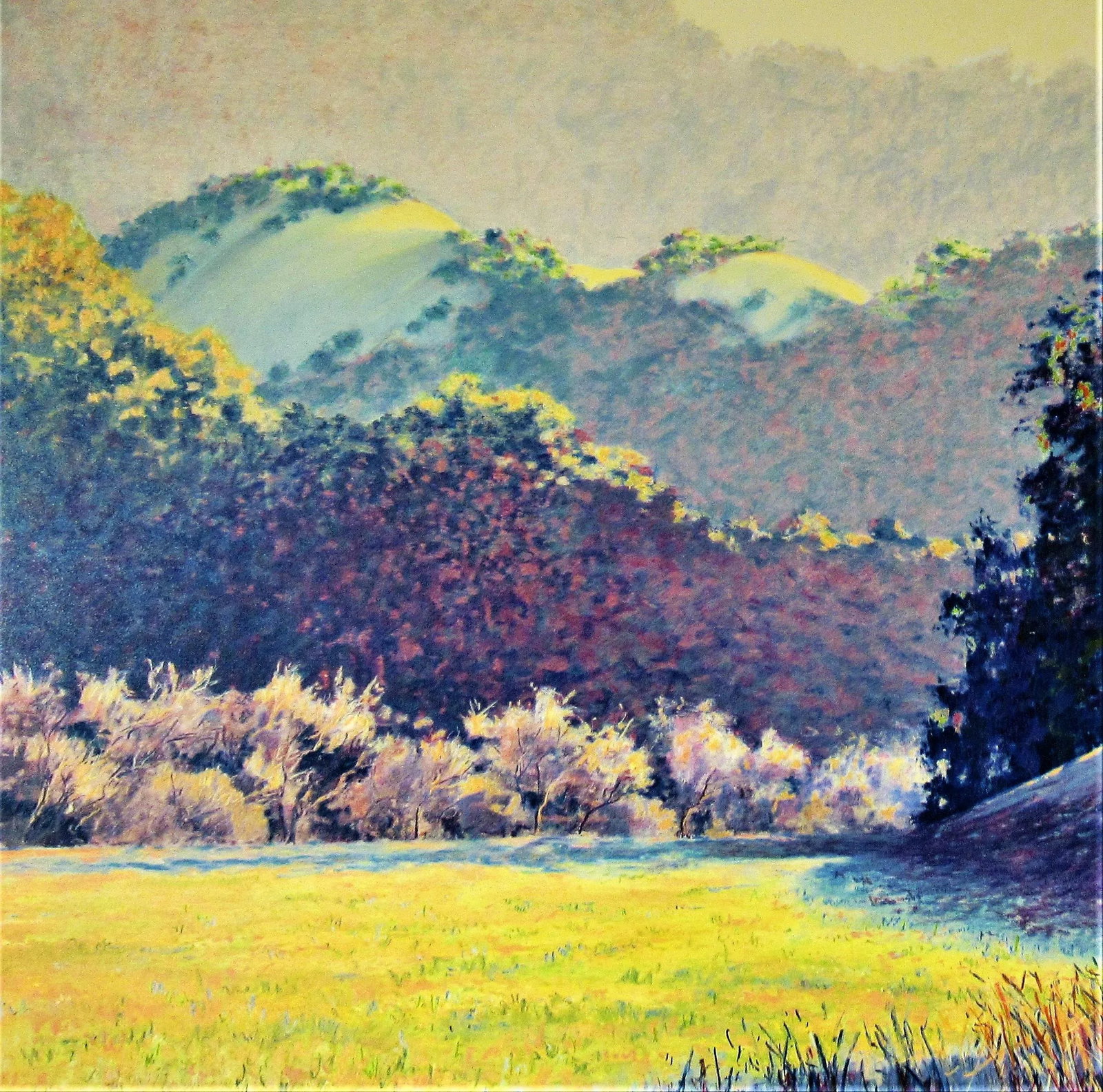 Clark Mitchell, Evening Light - 3