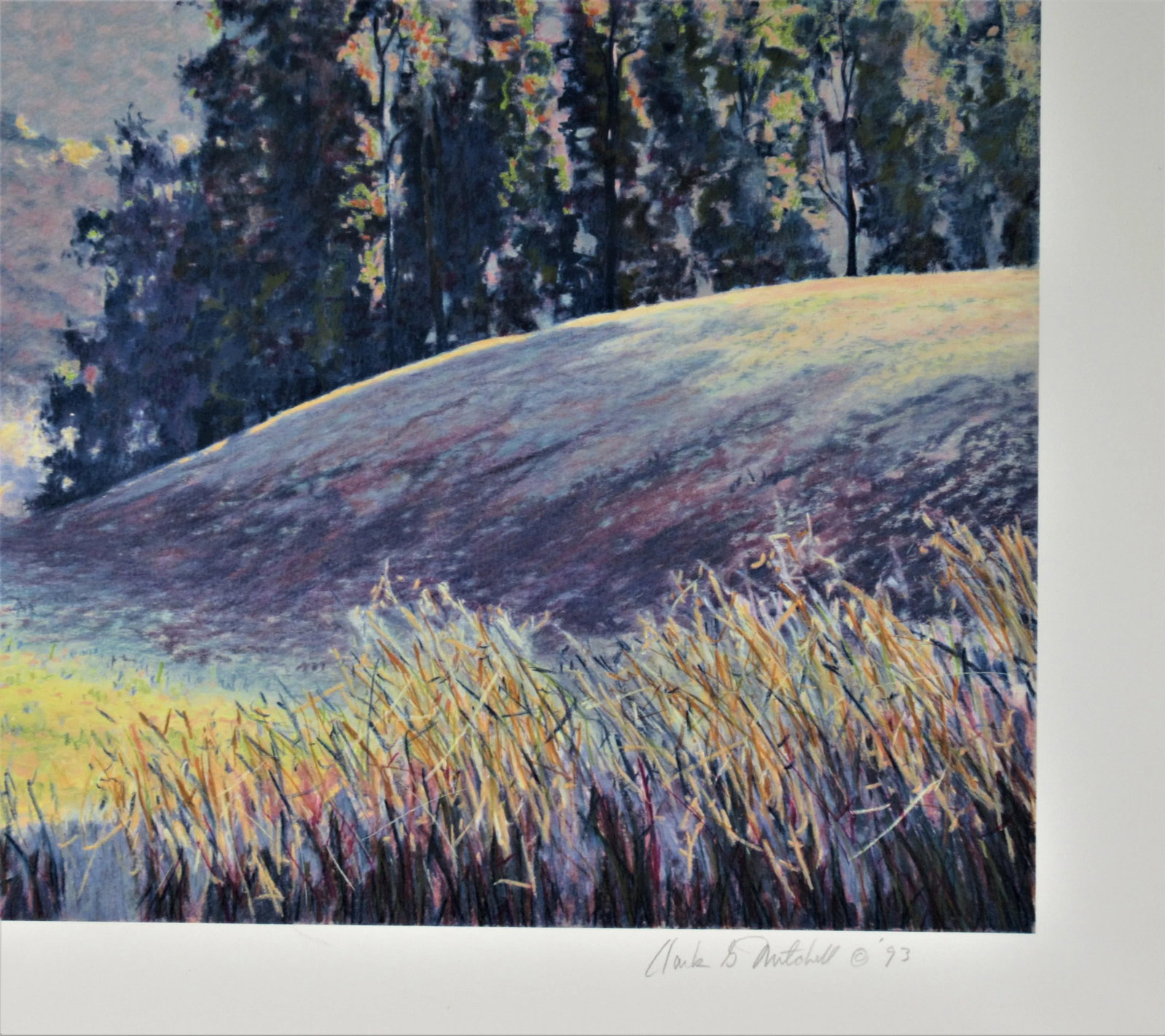 Clark Mitchell, Evening Light - 4