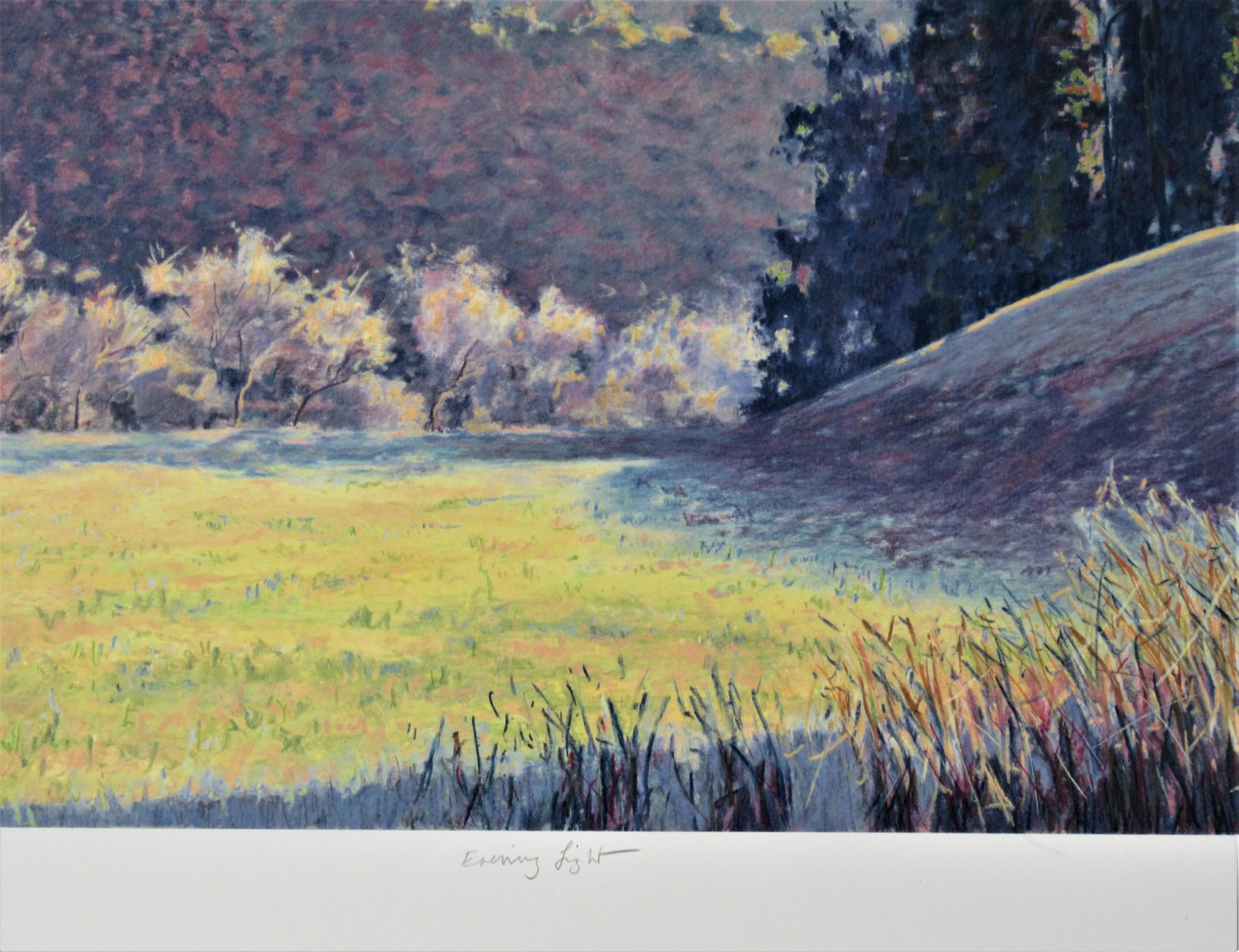 Clark Mitchell, Evening Light - 5