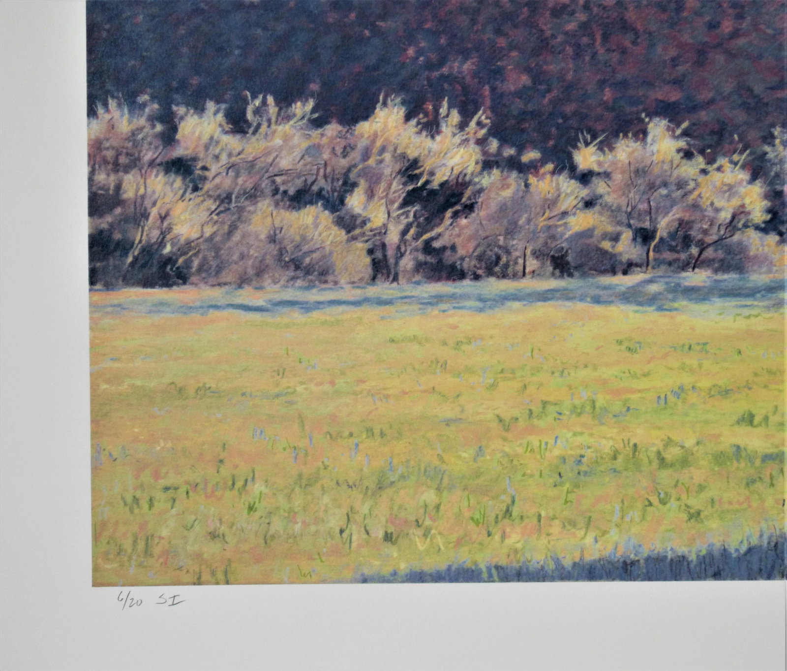 Clark Mitchell, Evening Light - 6