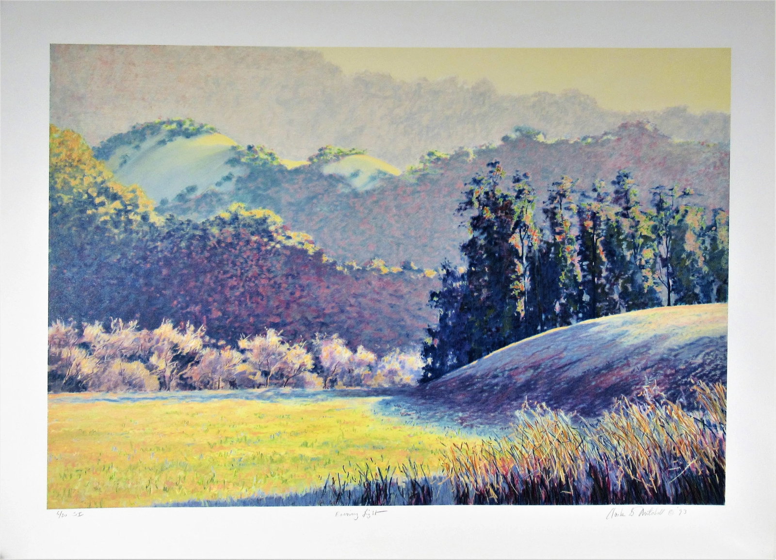 Clark Mitchell, Evening Light - 7