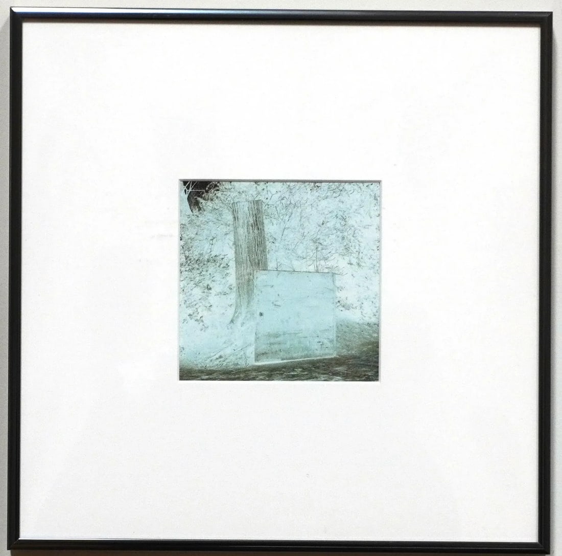 Framed Landscape Photograph "Luxembourg #2" 1/10 1994 by Jacques Cressaty - 3