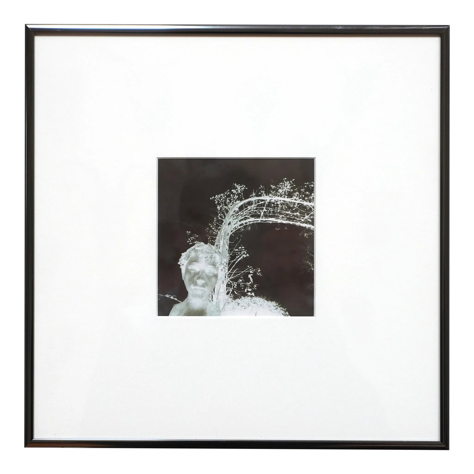 Framed Landscape Photograph "Bagatelle #3" 1/10 by Jacques Cressaty: This photograph "Bagatelle #3" 1/10 1994 is part of a seven year project undertaken by San Francisco based French photographer Jacques Cressaty from 1989 to 1996. The project was to photograph a