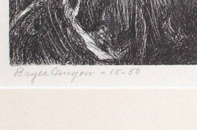 Antique Original Limited Edition Etching Signed by Artist Adele Watson Titled "Bryce Canyon" 1873 - - 4