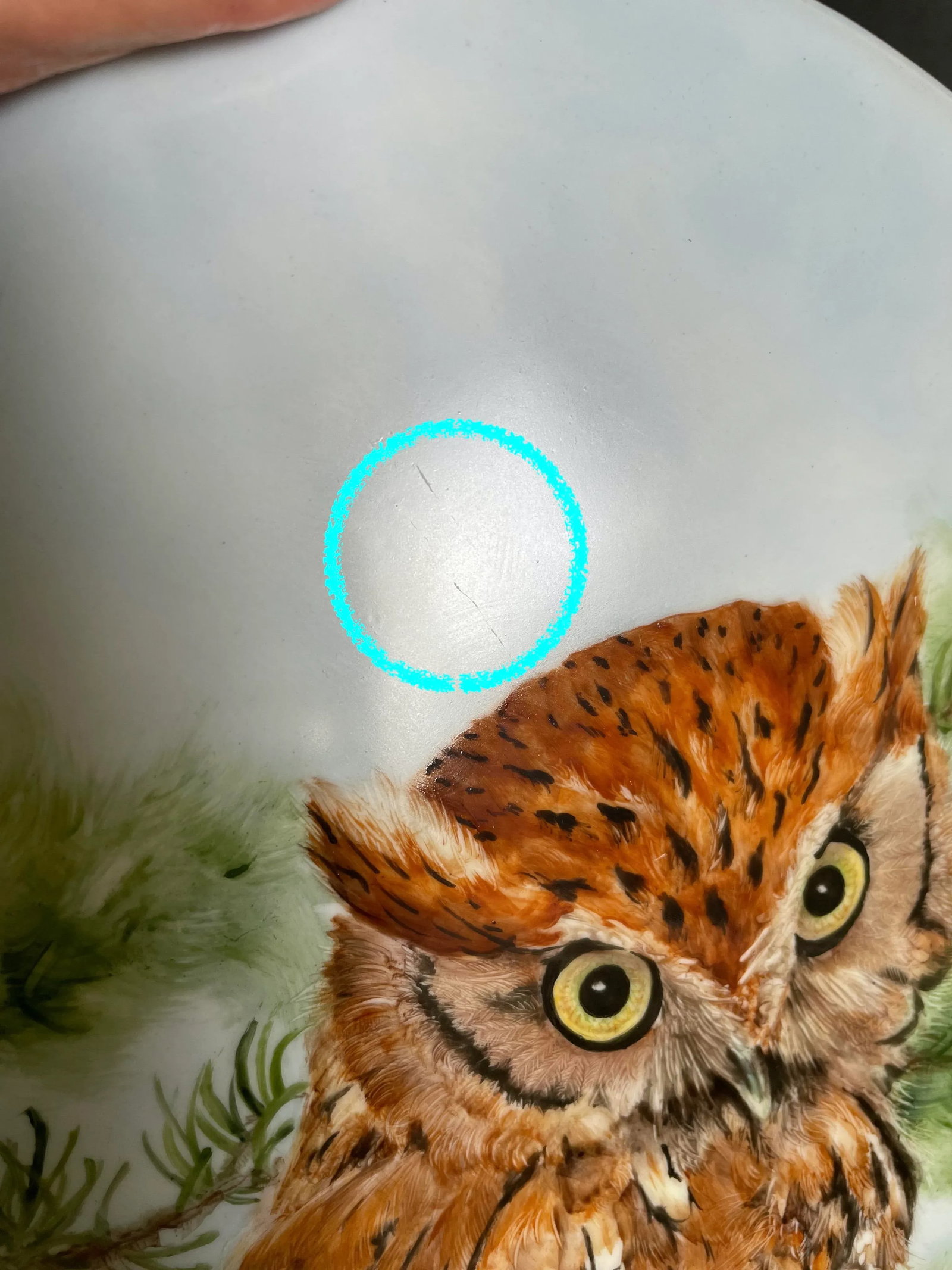 Large Hand Painted Great Horned Owl Oval Porcelain Plaque by Jeanette Davis - 10