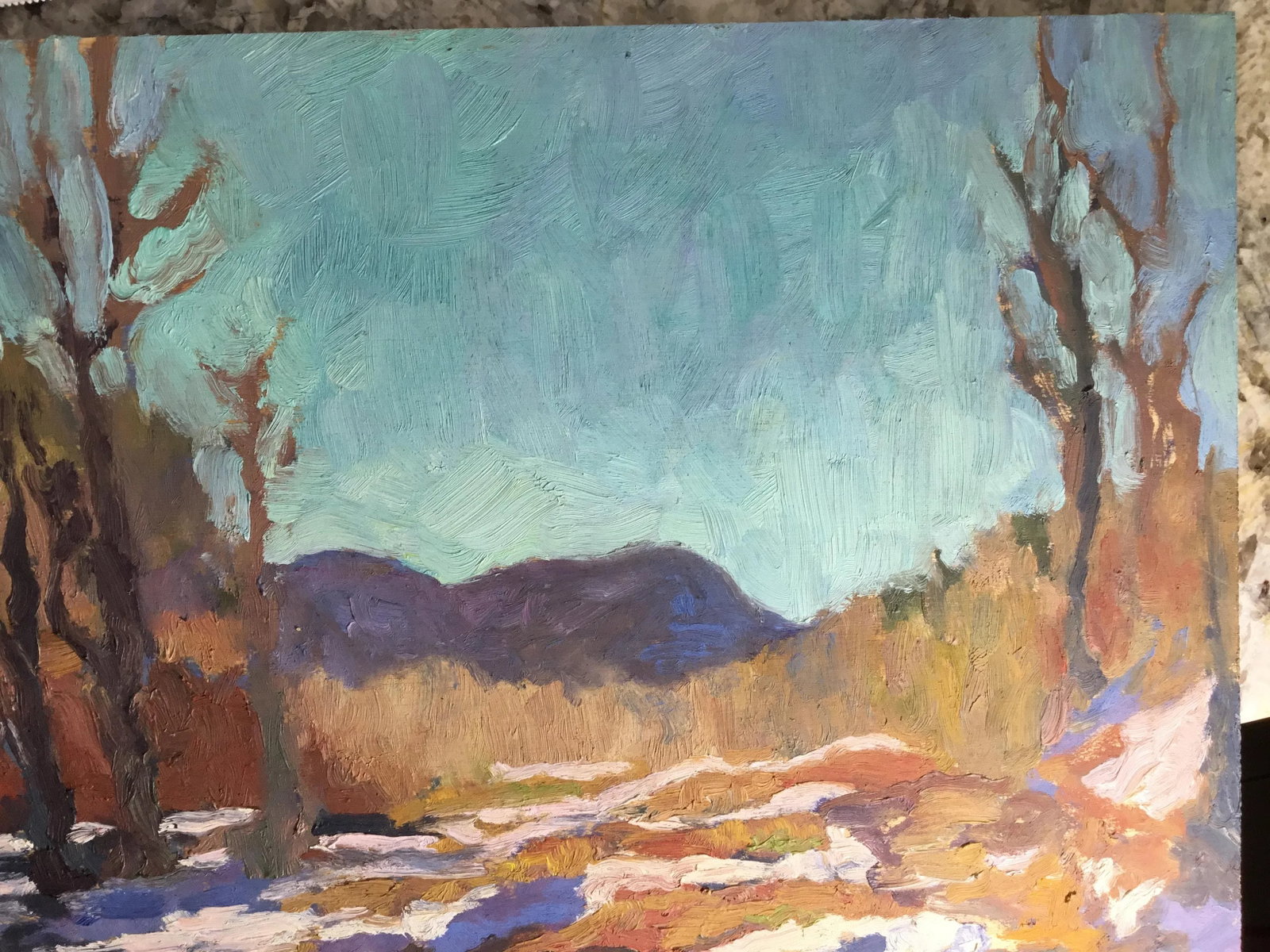 Jocelyn Davis Plein Air Painting - 4