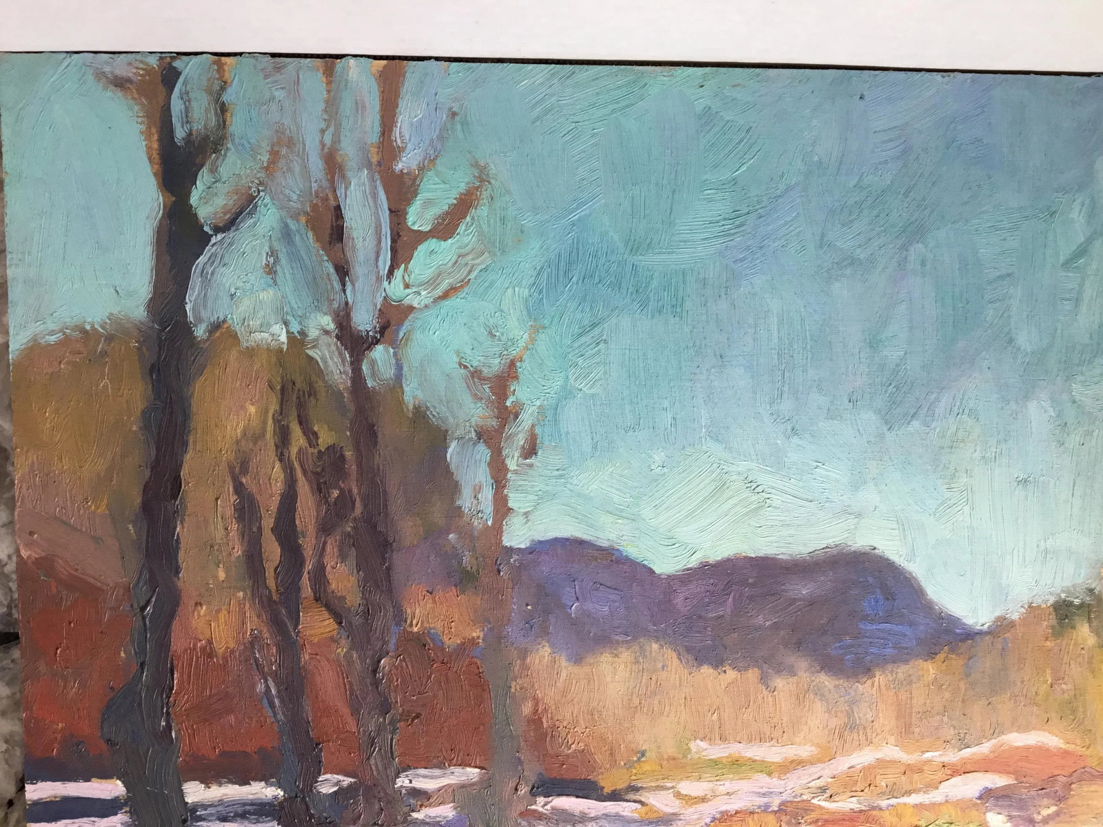 Jocelyn Davis Plein Air Painting - 6