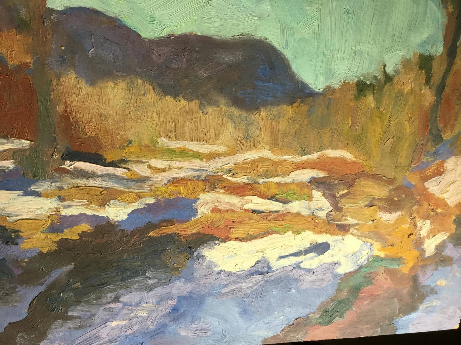 Jocelyn Davis Plein Air Painting - 8