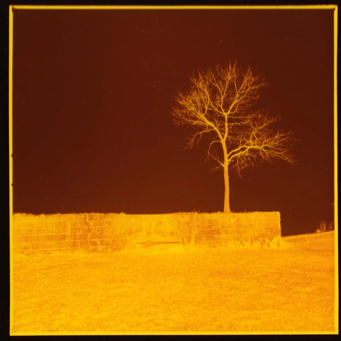 Landscape Cibachrome Photograph "Survivor" 2/10 1989 by Jacques Cressaty - 5