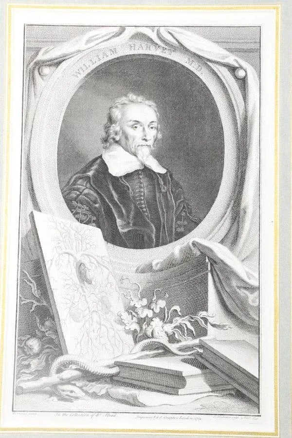 Set of Four Framed George Vertue Portrait Engravings in Neoclassical Gilt Frames - 11