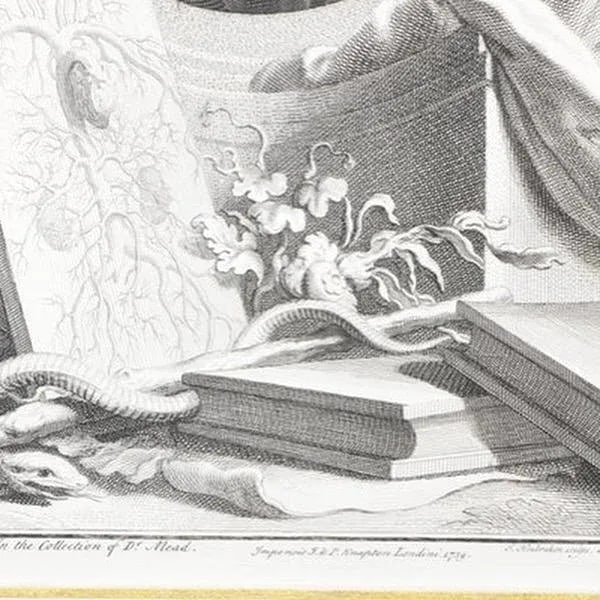 Set of Four Framed George Vertue Portrait Engravings in Neoclassical Gilt Frames - 12