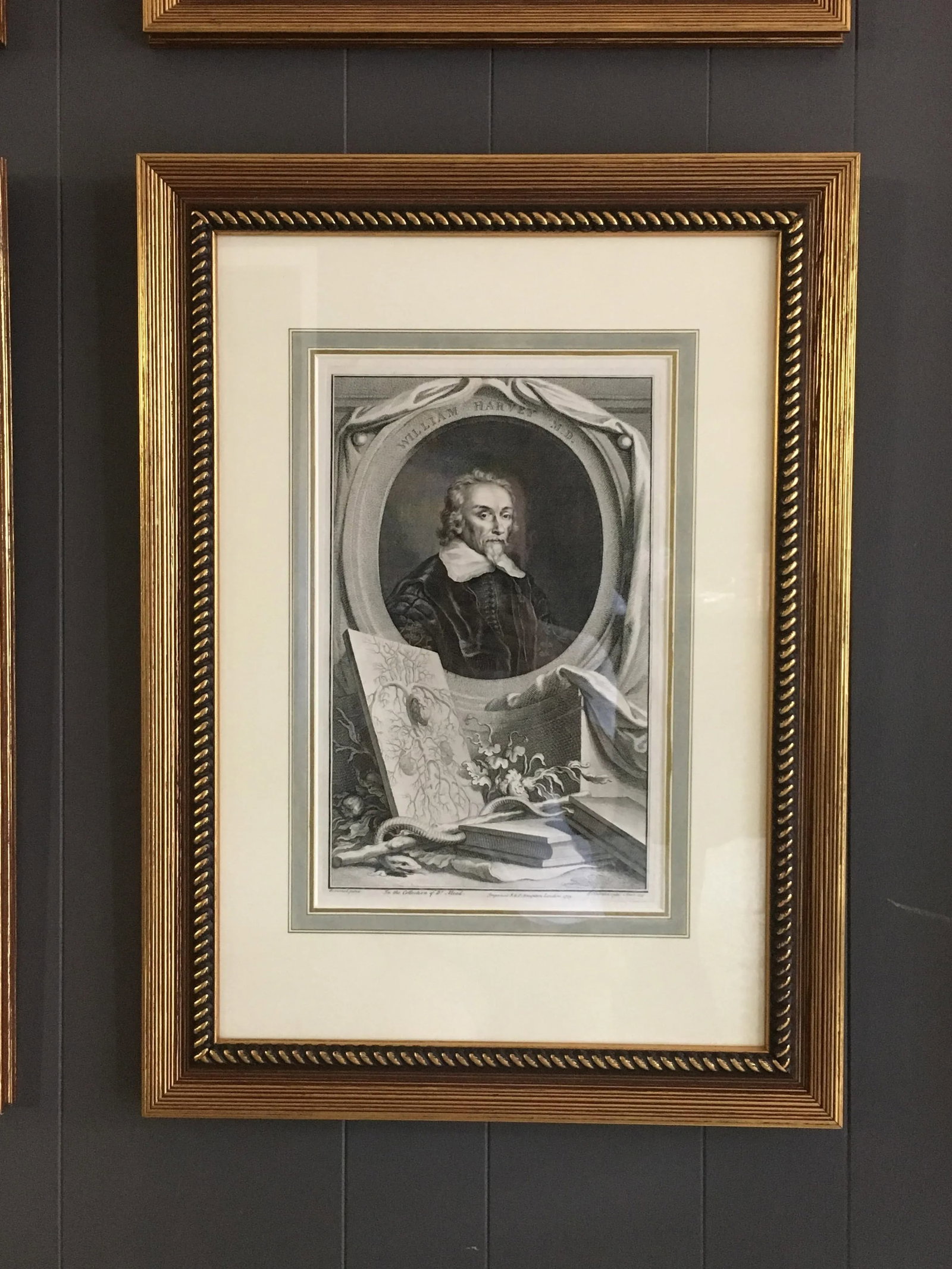 Set of Four Framed George Vertue Portrait Engravings in Neoclassical Gilt Frames - 5