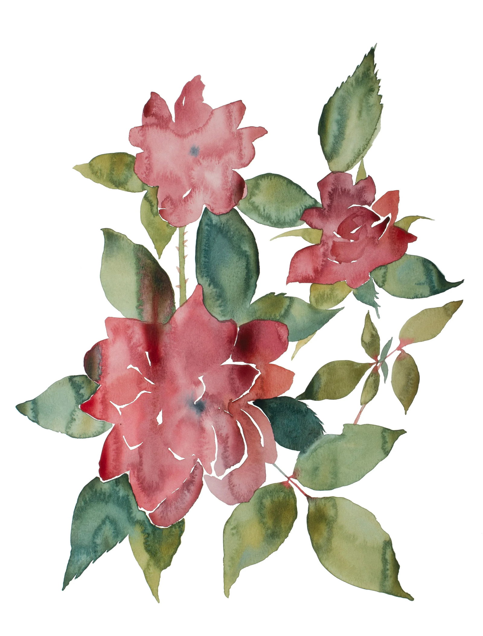 "Rose Study No. 87" Contemporary Original Botanical Flowers Watercolor Painting by Elizabeth Becker: Original watercolor painting on 140 lb cold press paper Artist: Elizabeth Becker Year: 2023 Image and Paper Size: 18" x 24" Signed on front Condition: Imperfections: No Imperfections Origin: United