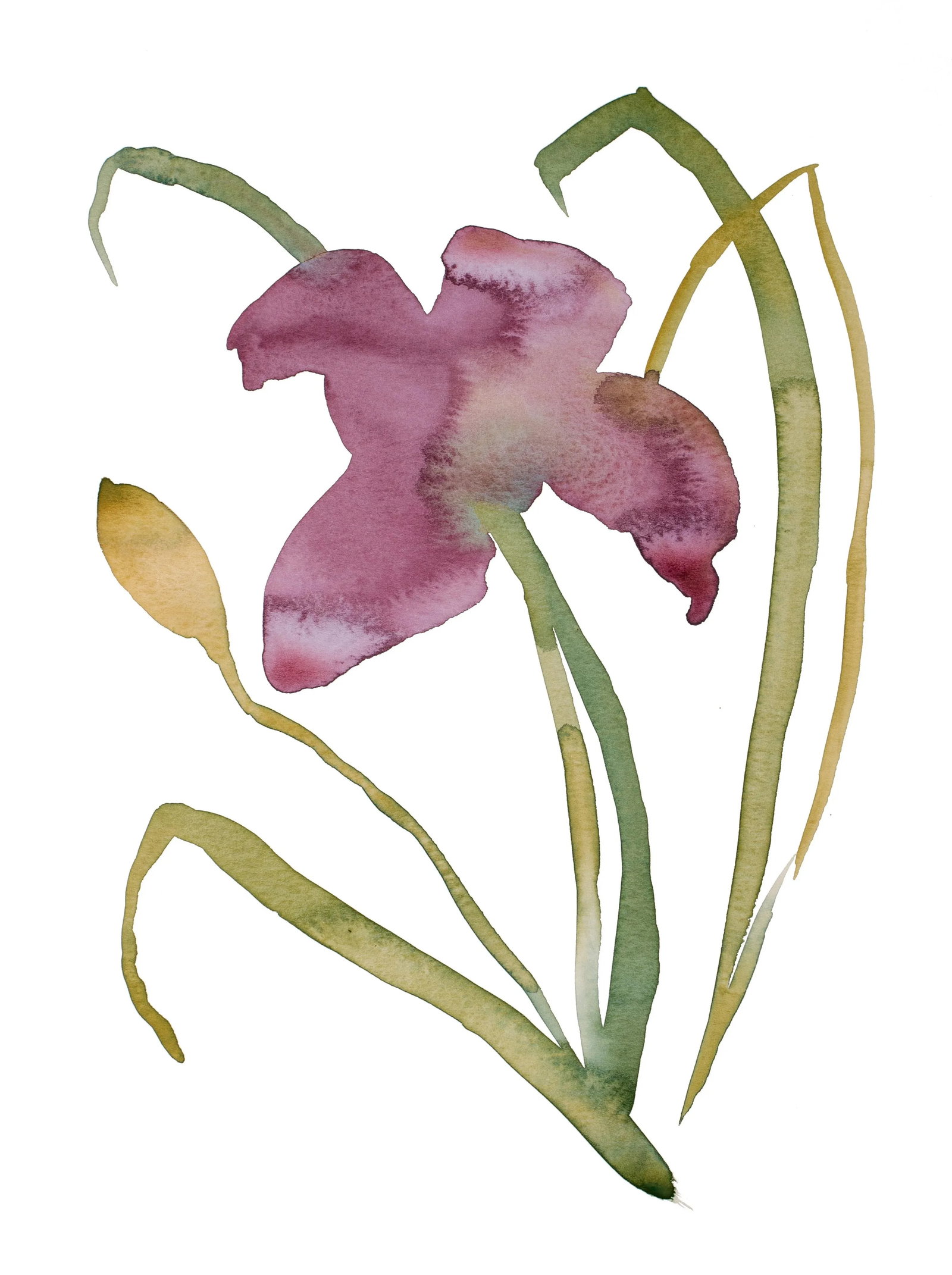 "Lily No. 16" Contemporary Original Botanical Flower Watercolor Painting by Elizabeth Becker: Original watercolor painting on 140 lb cold press paper Artist: Elizabeth Becker Year: 2023 Image and Paper Size: 9" x 12" Signed on front Condition: Imperfections: No Imperfections Origin: United