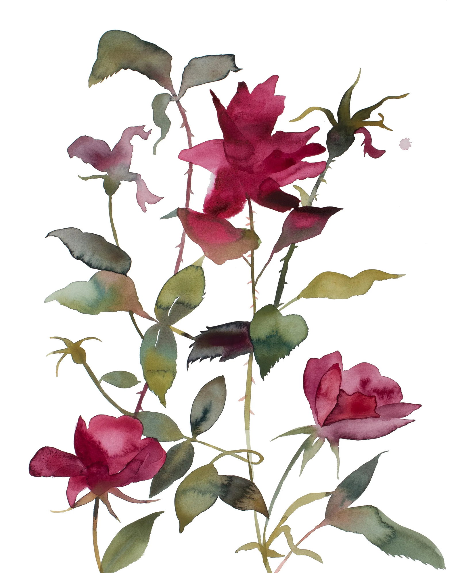 "Rose Study No. 84" Contemporary Original Botanical Flowers Watercolor Painting by Elizabeth Becker (1 of 2)