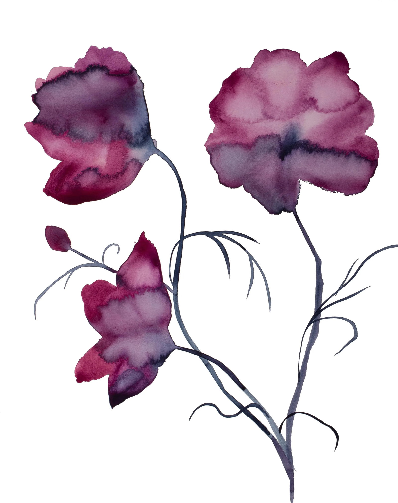 "Cosmo No. 10" Contemporary Original Botanical Flowers Watercolor Painting by Elizabeth Becker (1 of 2)